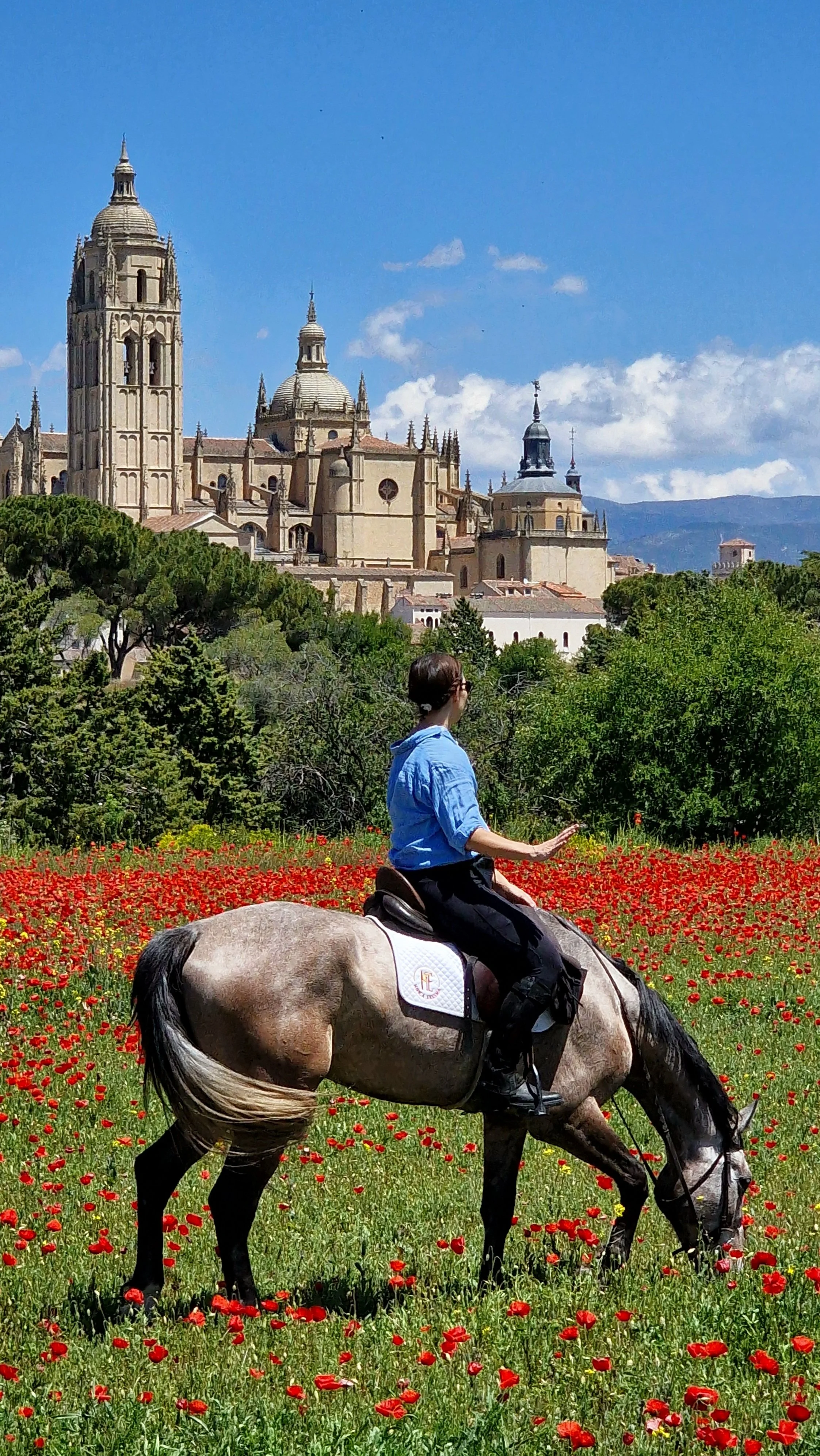 A person riding a horse through a field of red flowers with historic European-style buildings and a blue sky in the background.