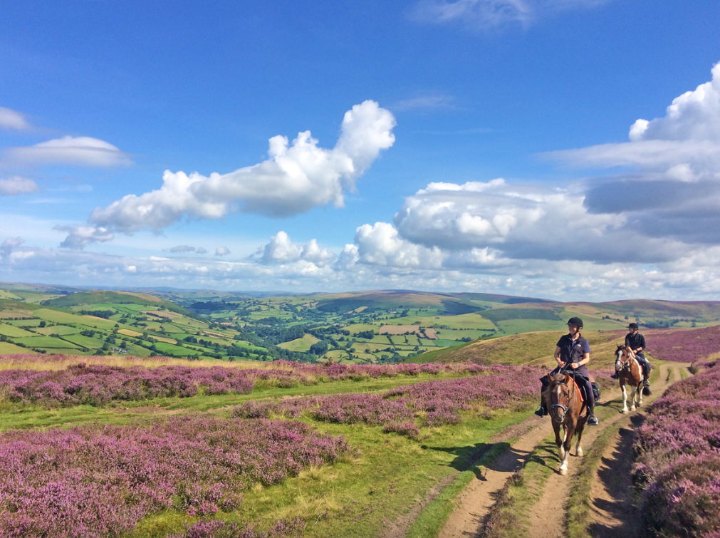 Screenshot (262).png