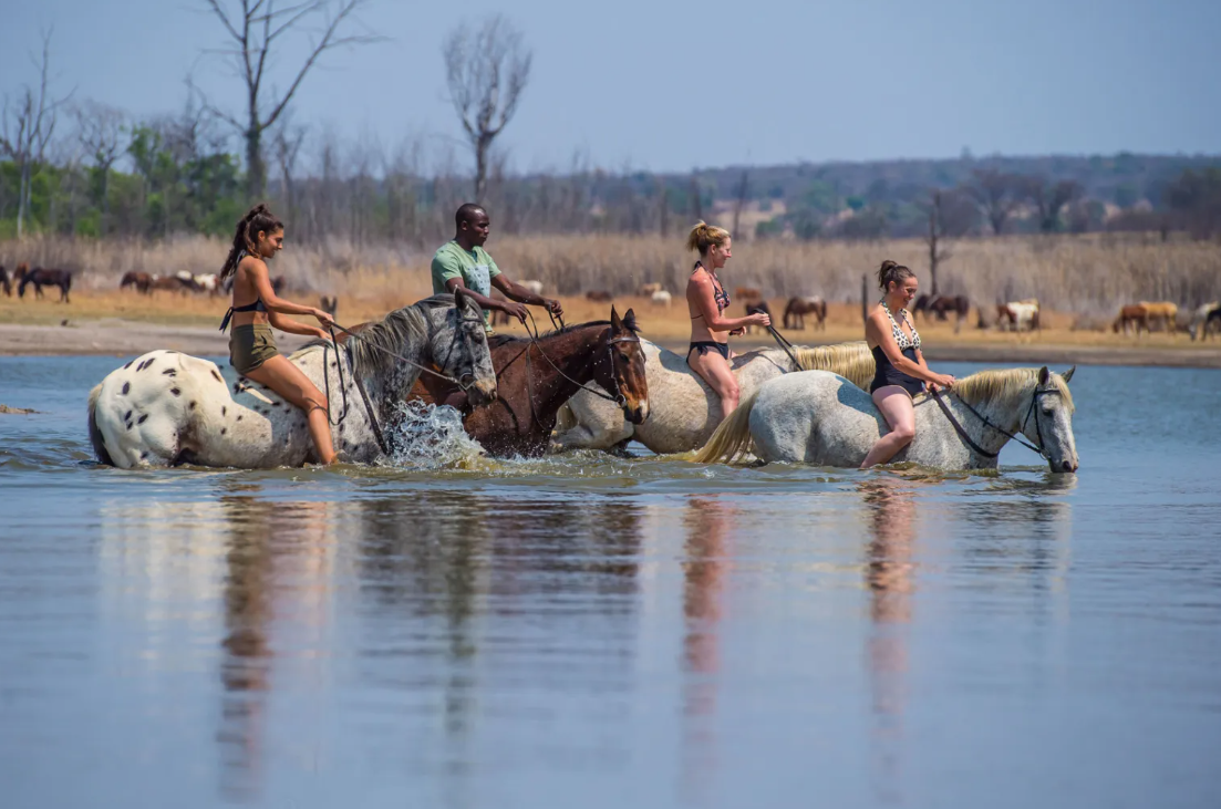 Screenshot (357).png