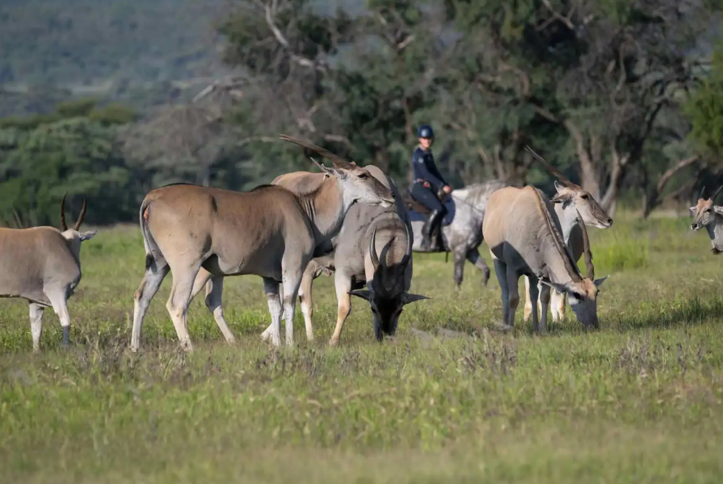 Screenshot (361).png