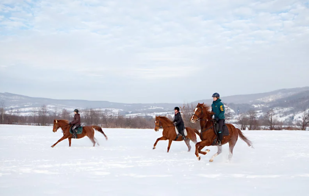 winter romania4.png