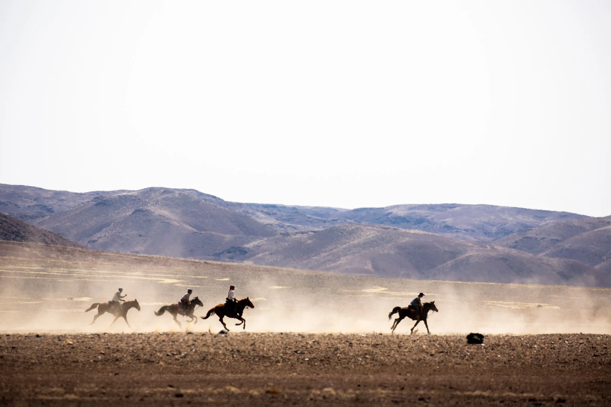 Horses in Dust.jpg