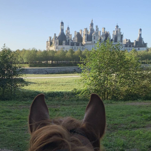 View of a grand castle in the distance through trees, with a horse's ears and part of its mane in the foreground.
