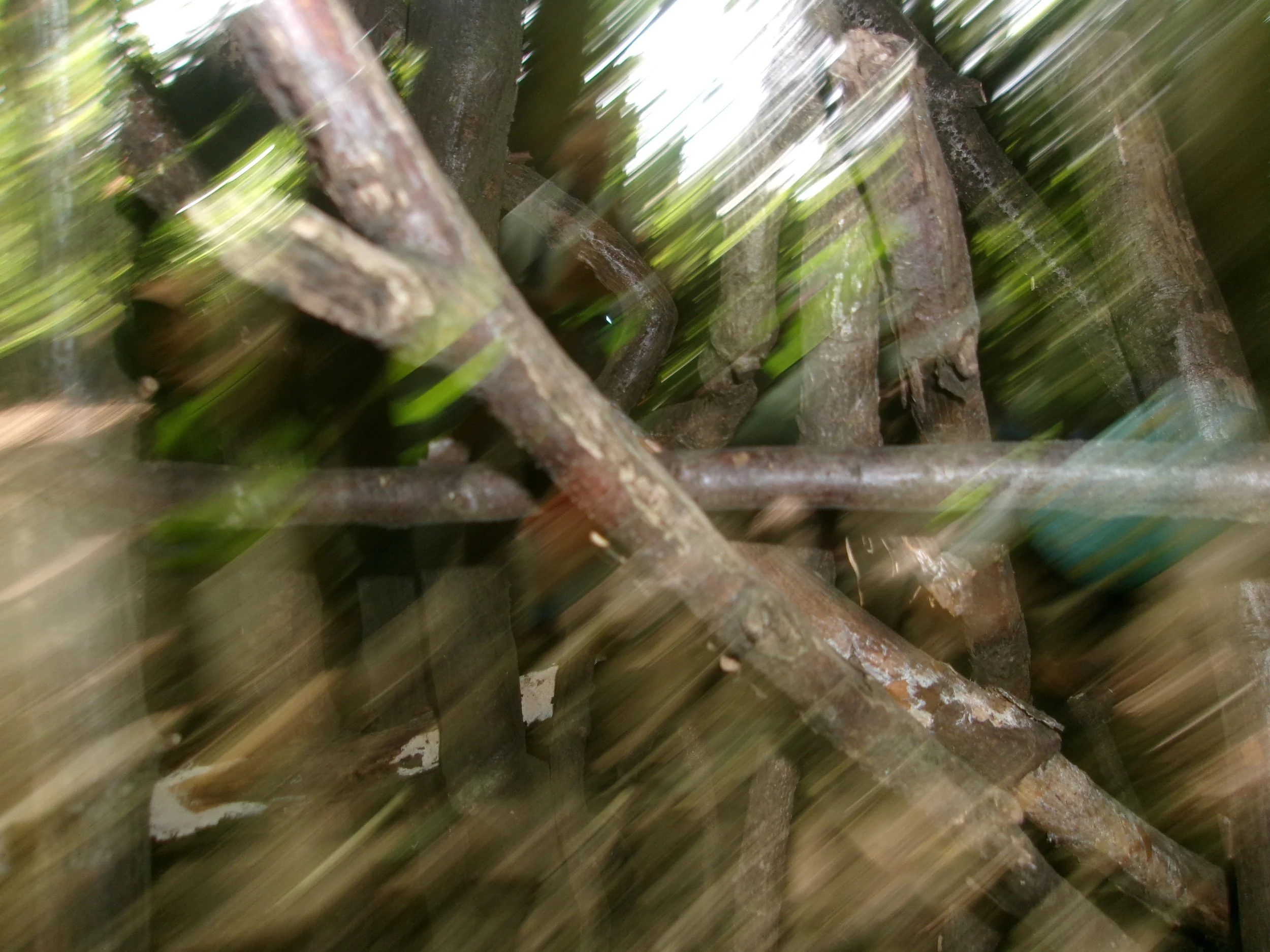 Hampstead Heath Adventure Photography Trail