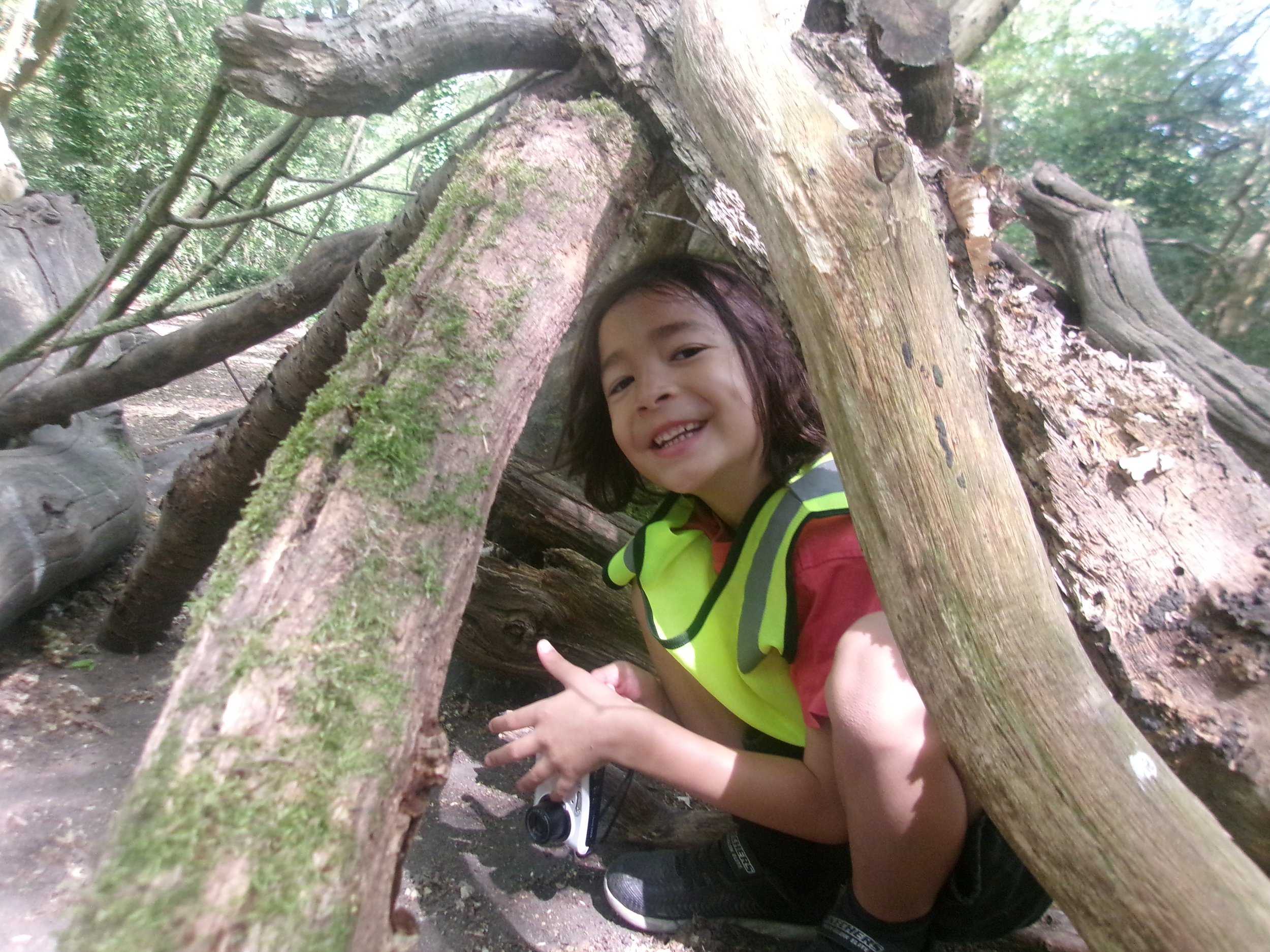Trent Park Wildlife Photography Trail