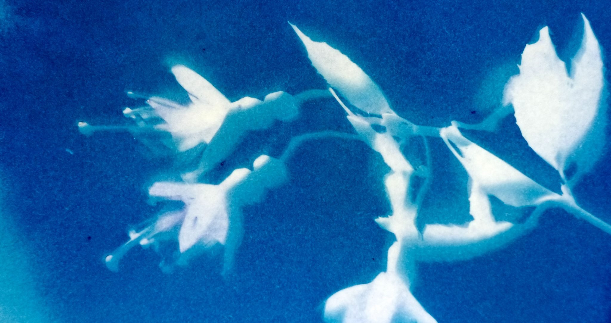 Darkroom Magic 