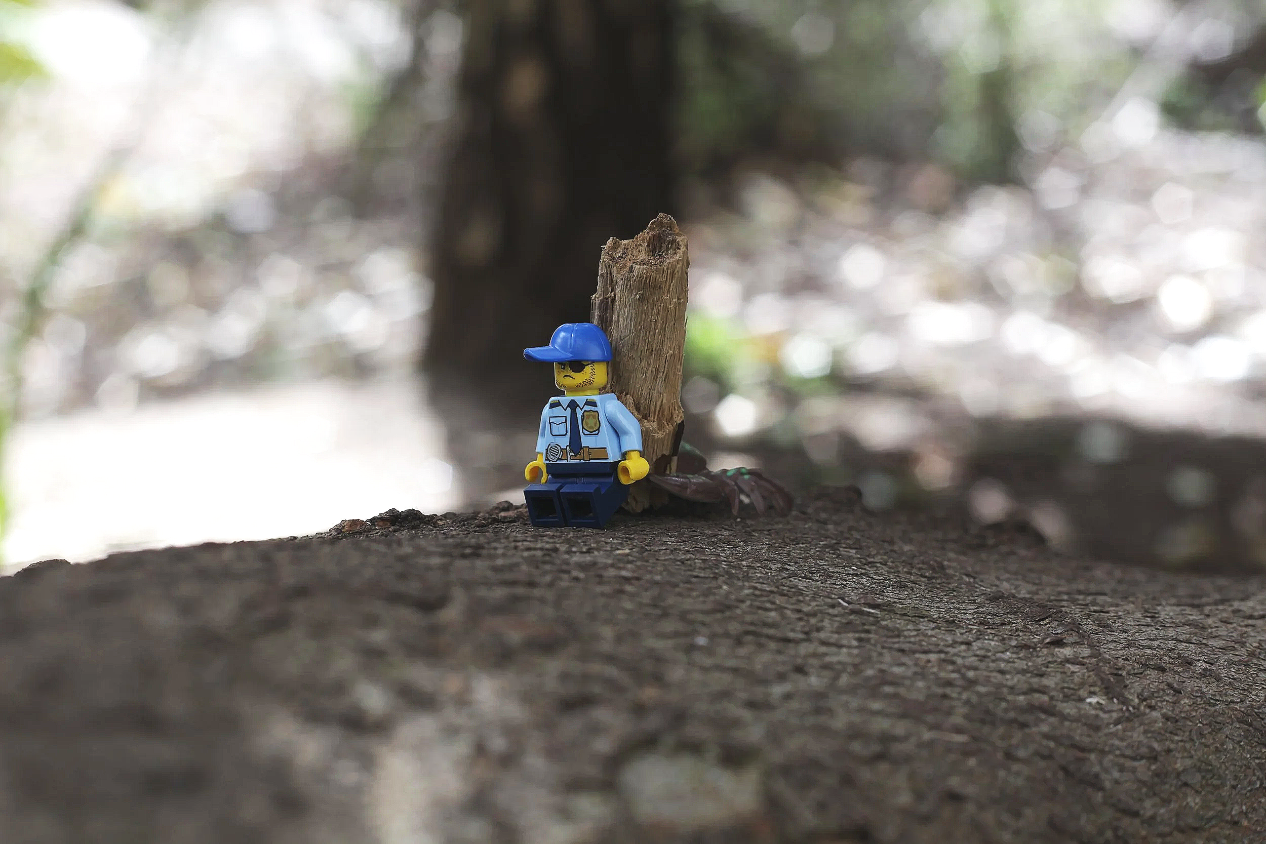 A small LEGO police officer figure with a blue hat and sunglasses, sitting against a vertical piece of wood on a tree branch outdoors. The background is blurred with natural light.