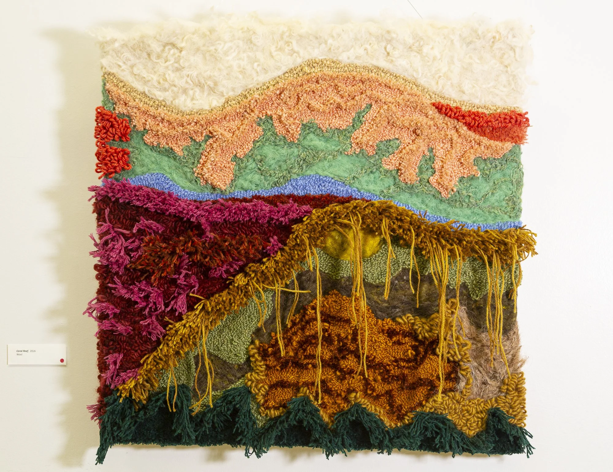 Coral Reef / 2026 / Wool on Wood/ 24h “x 24”w x1 1/2”d