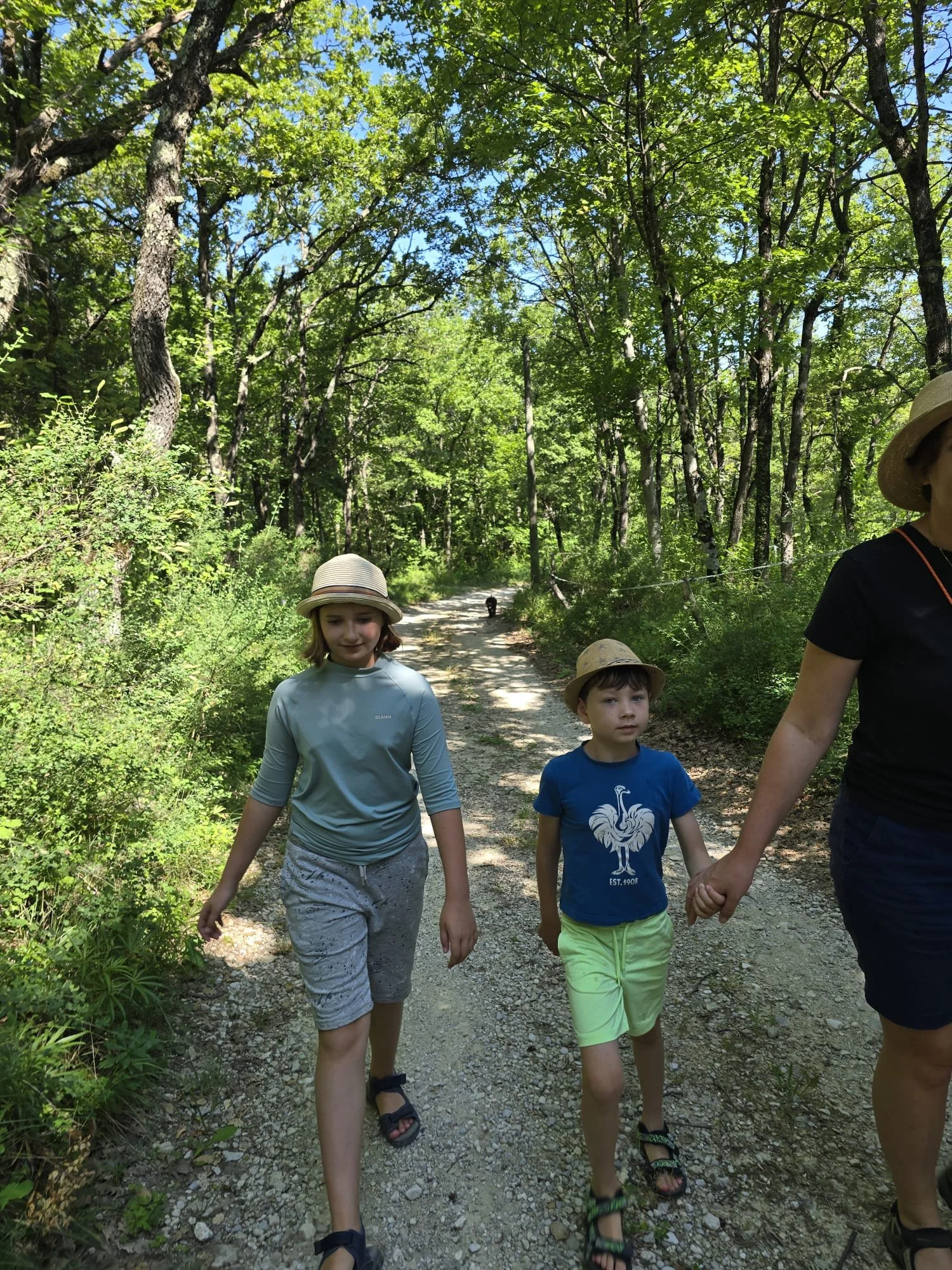 Trois enfants, deux filles et un garçon, marchent sur un sentier en forêt, accompagnés par une femme, tous portant des chapeaux et des vêtements décontractés.