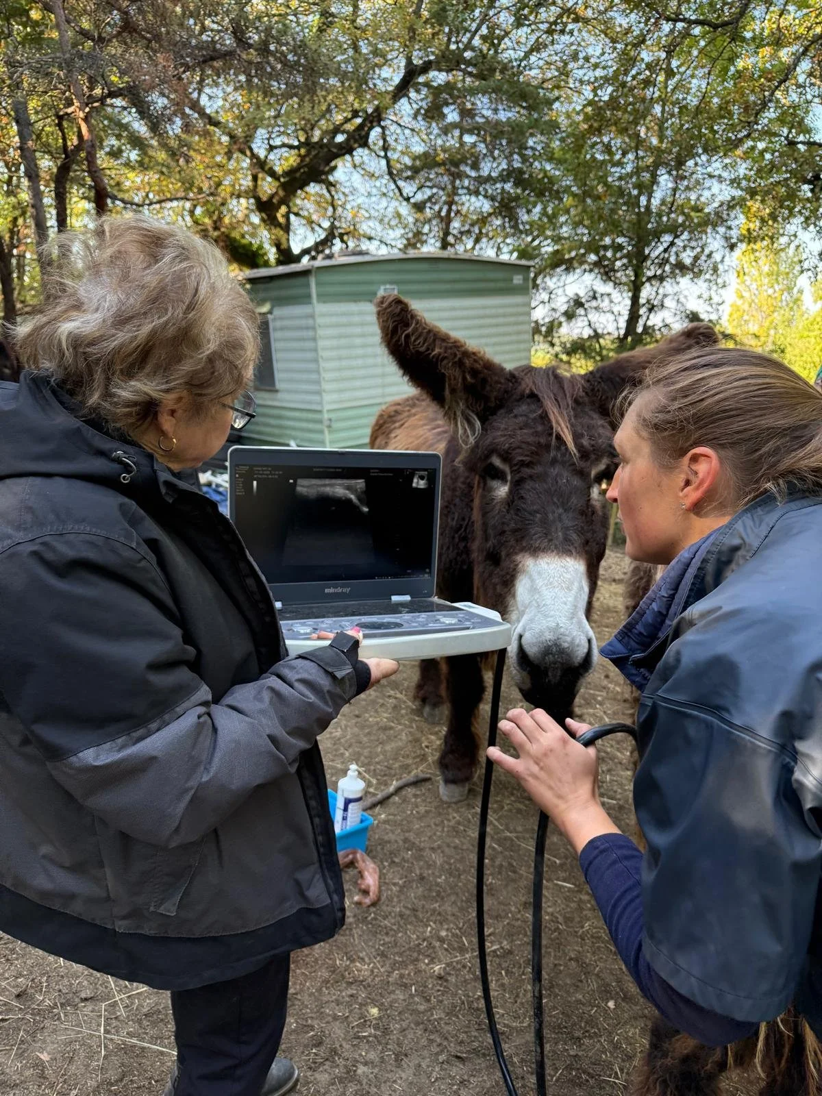 WhatsApp Image 2025-11-02 at 13.48.28_9d4b2fa6.jpg