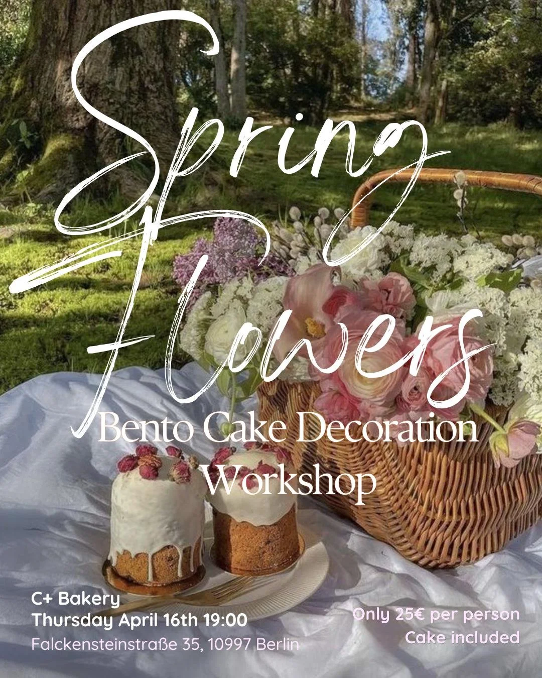 WhatsApp Image 2026-04-07 at 14.15.15.jpeg