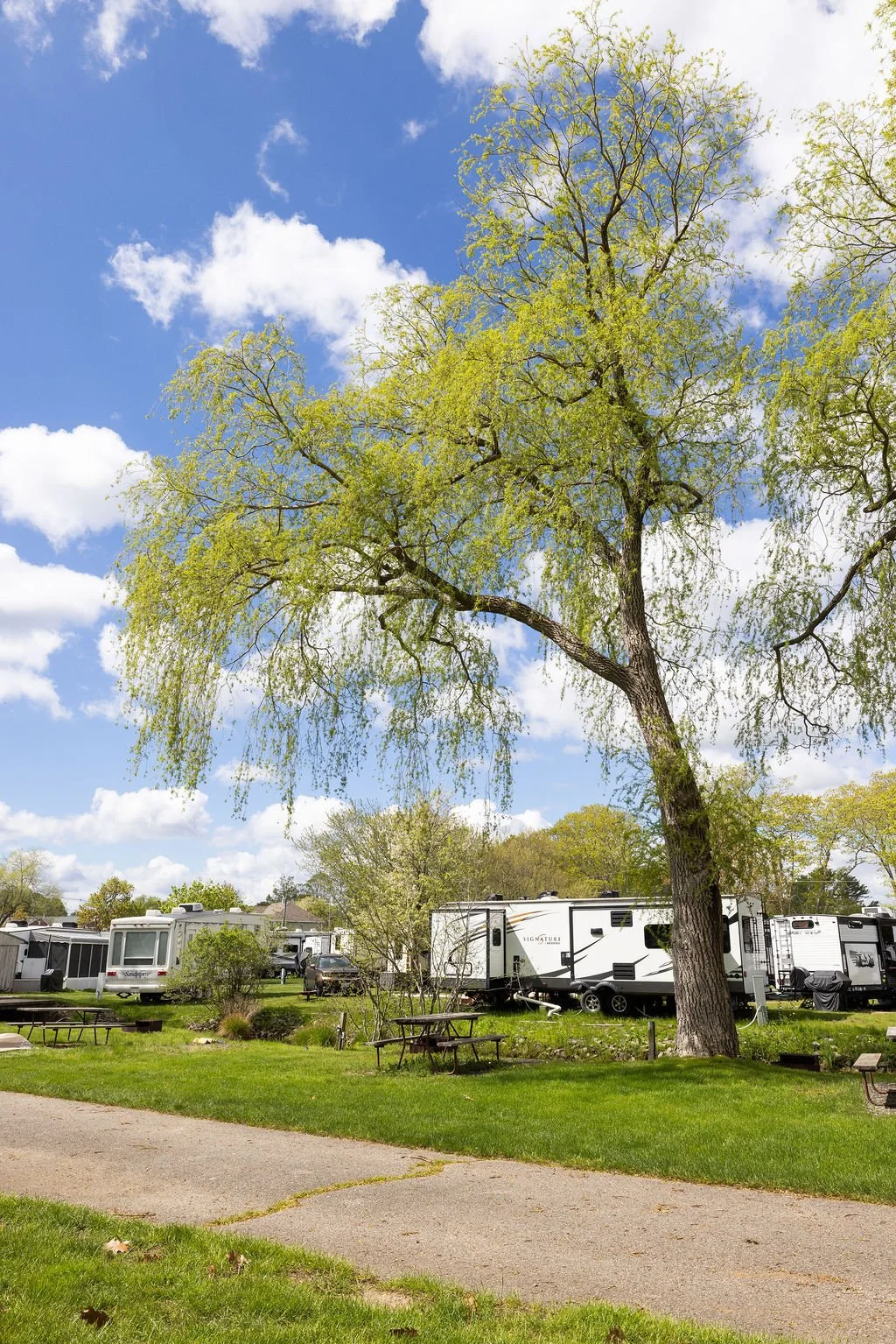 Campground-86 (1).jpg