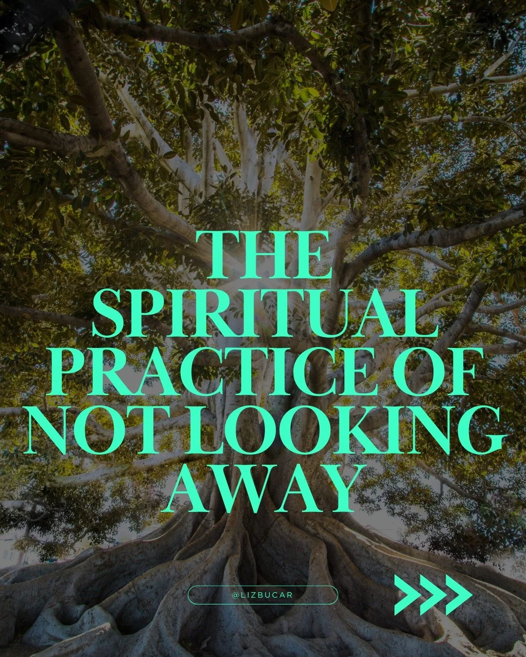 The spiritual work right now: pause. Feel everything. Don't look away. Here are the voices helping me do that. What's helping you?

#ReneeNicoleGood #SpiritualResistance #ReligionReimagined #HeartbreakAsResistance #DontLookAway