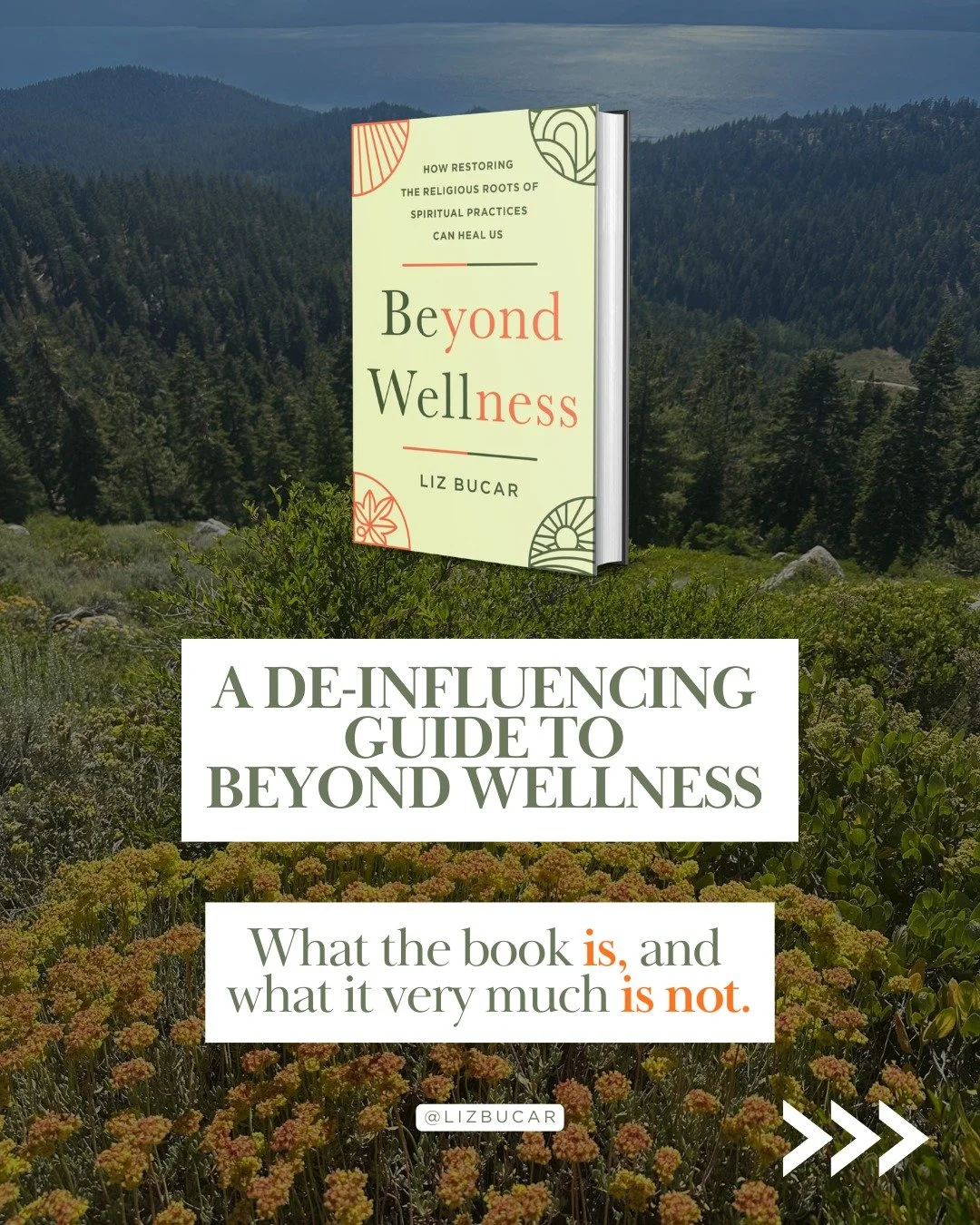 Beyond Wellness is not a guide to optimizing your morning routine. Not an argument for going back to church. Not a reassurance that everything you're already doing is fine. (Some of it might not be fine.)

It's a scholar spending years tracing your f