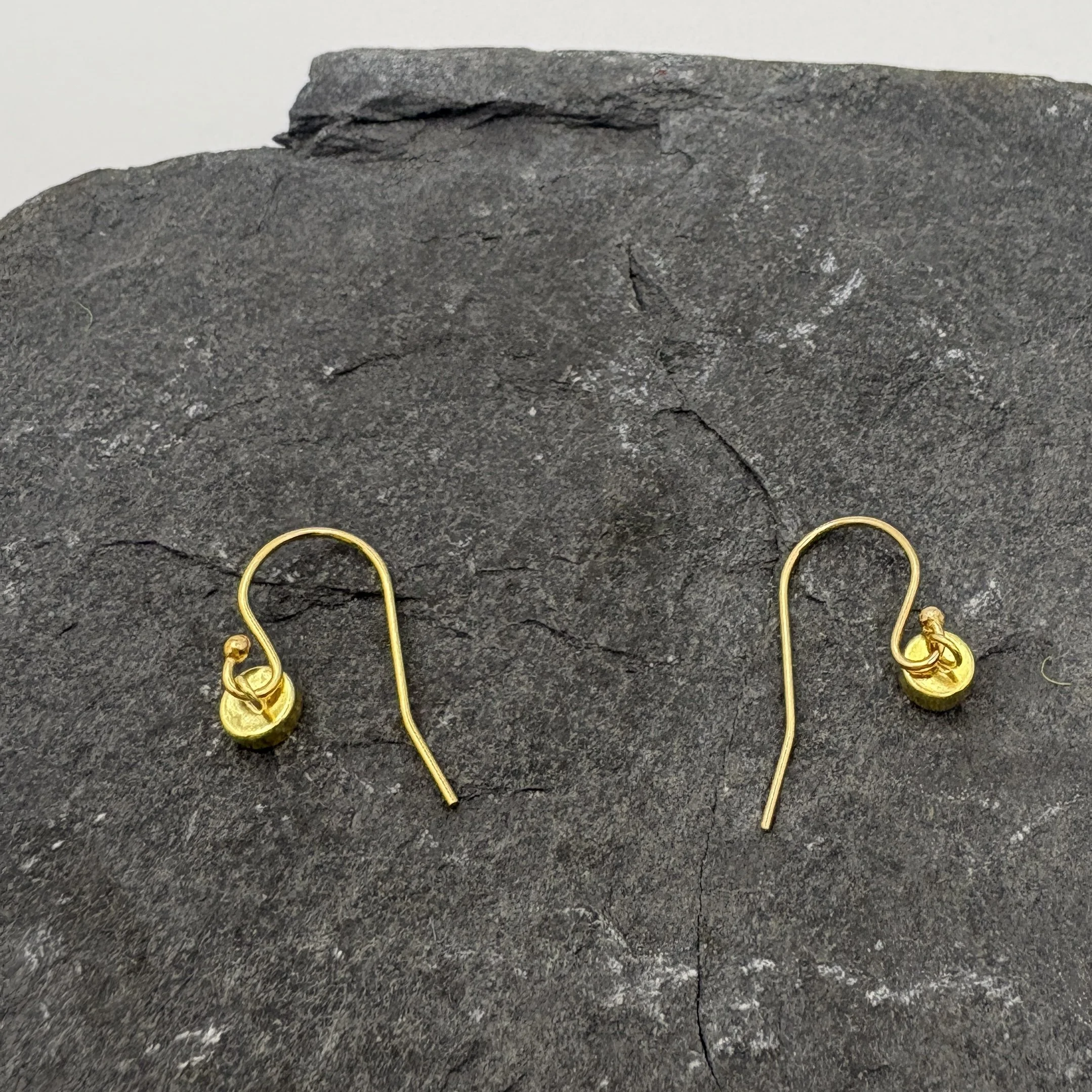 Gold filled ear hook
