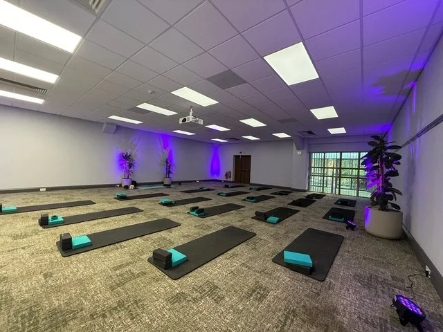 Indoor yoga or Pilates studio with black mats, blocks, and straps on a carpeted floor, purple accent lighting, potted plants, a ceiling projector, and large windows at the back.