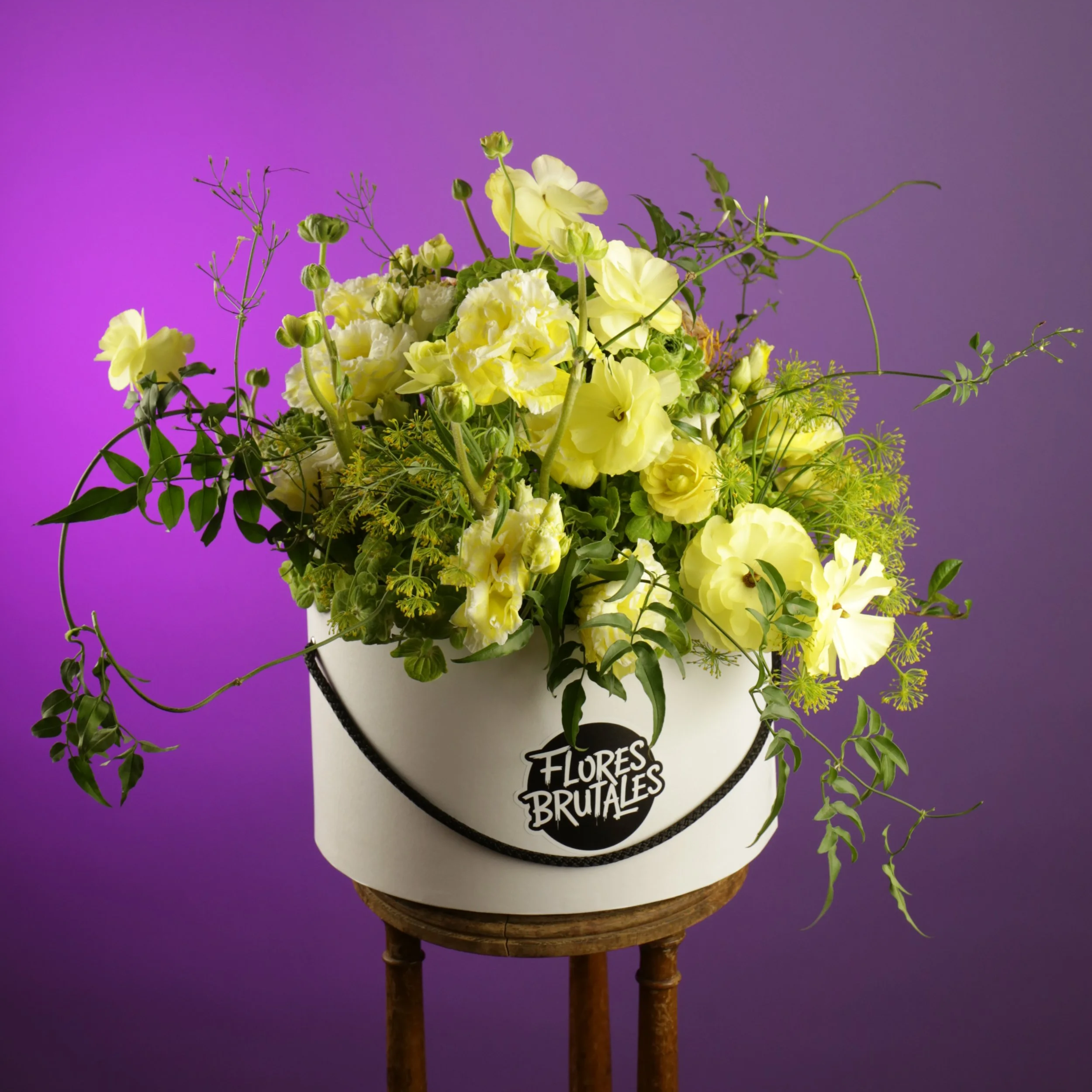 Sombrerera Brutal "M"