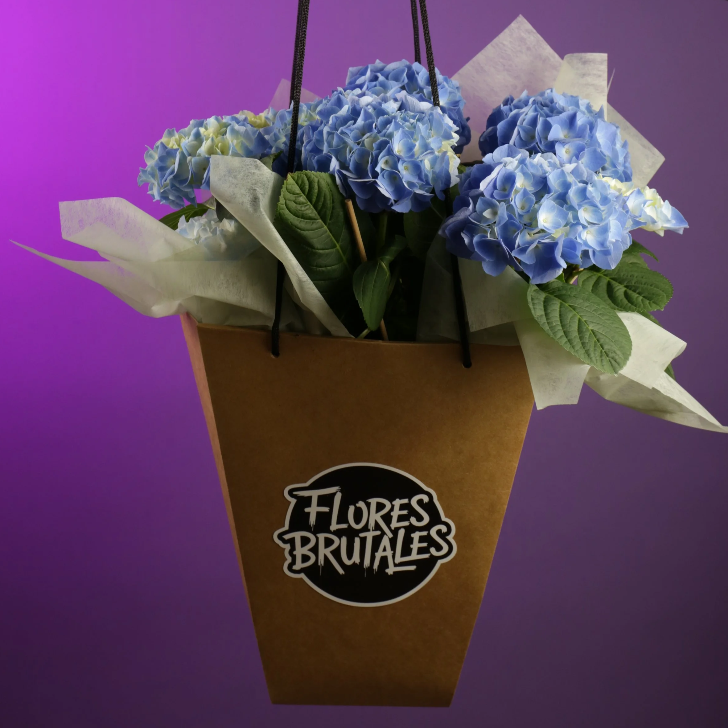 Planta de Hortensia Brutal