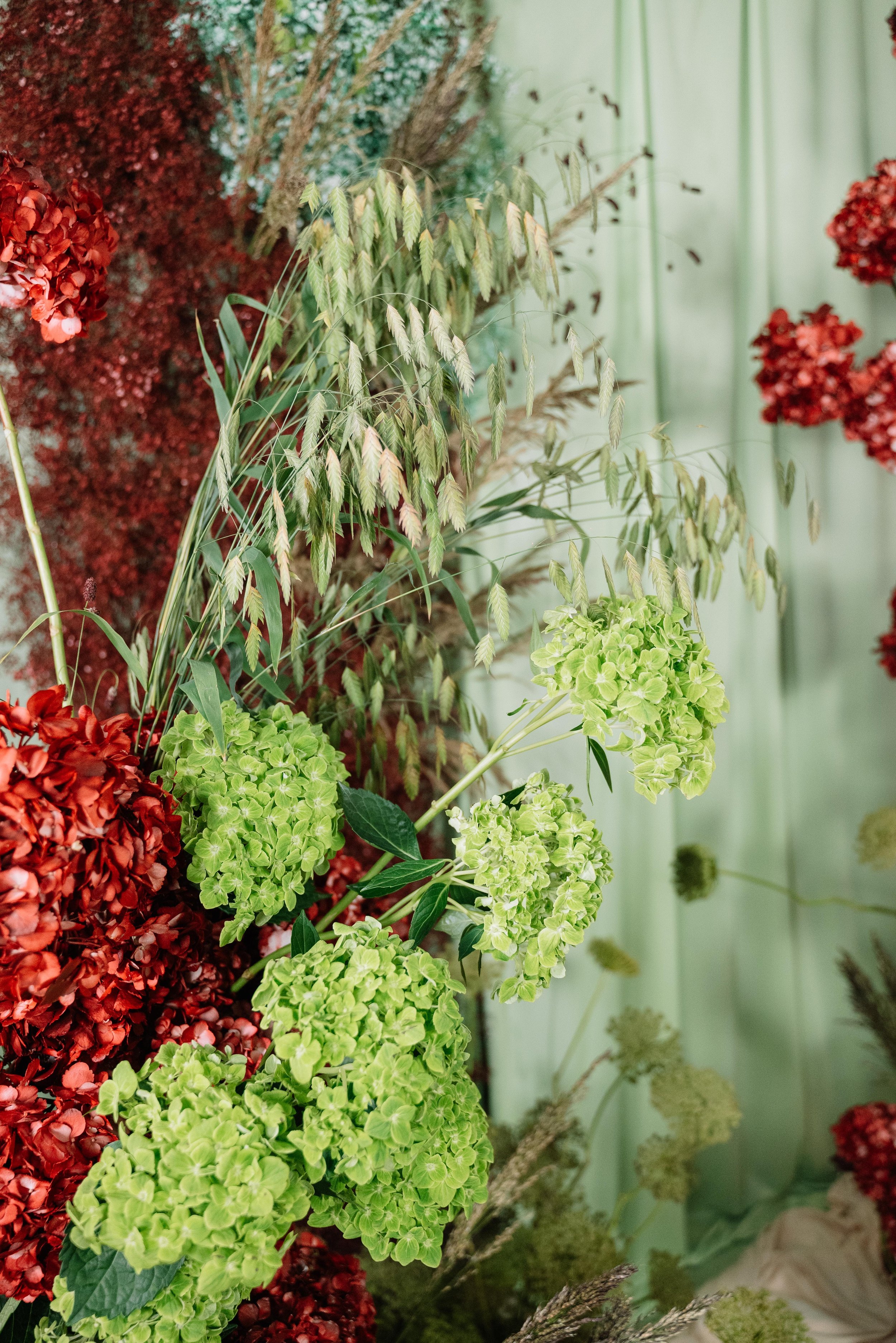 Ramo decorativo con hortensias verdes, follaje de variedad y otras flores en tonos rojos y verdes, en un fondo de cortina y pared de color menta.