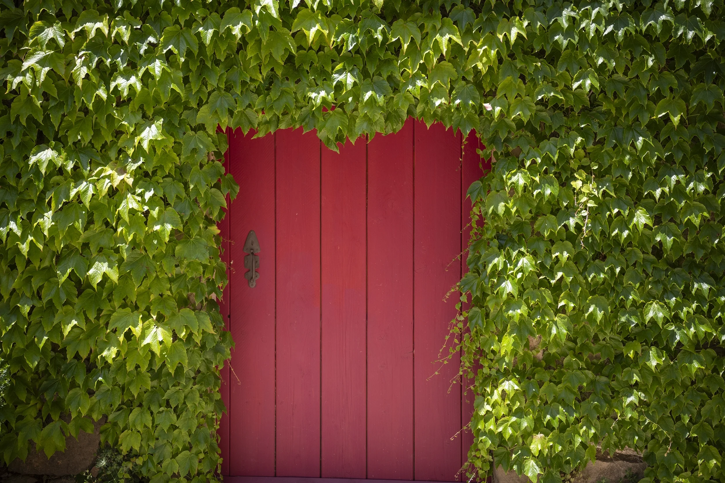 Eclats d’un territoire