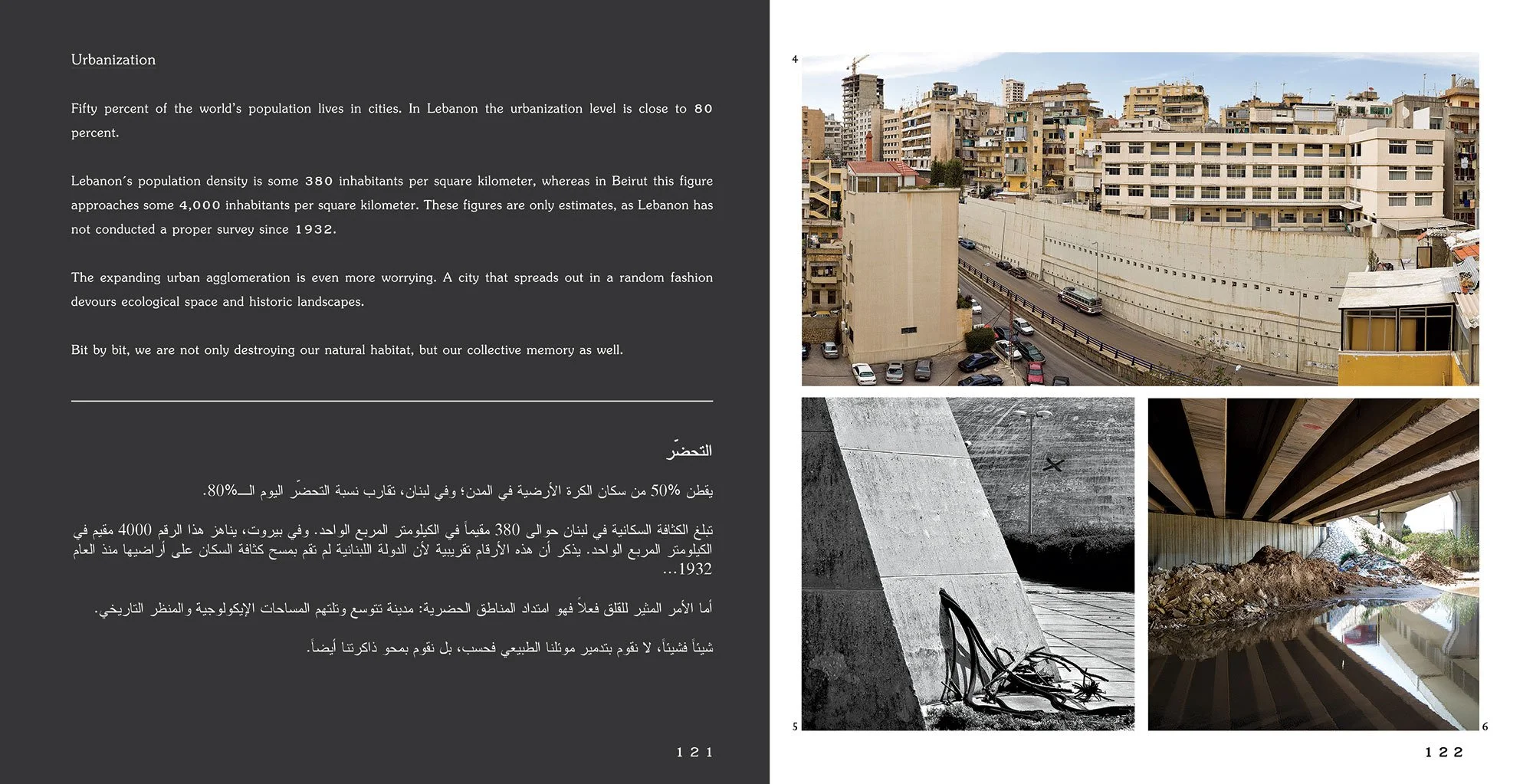 Forets-du-liban-7.jpg