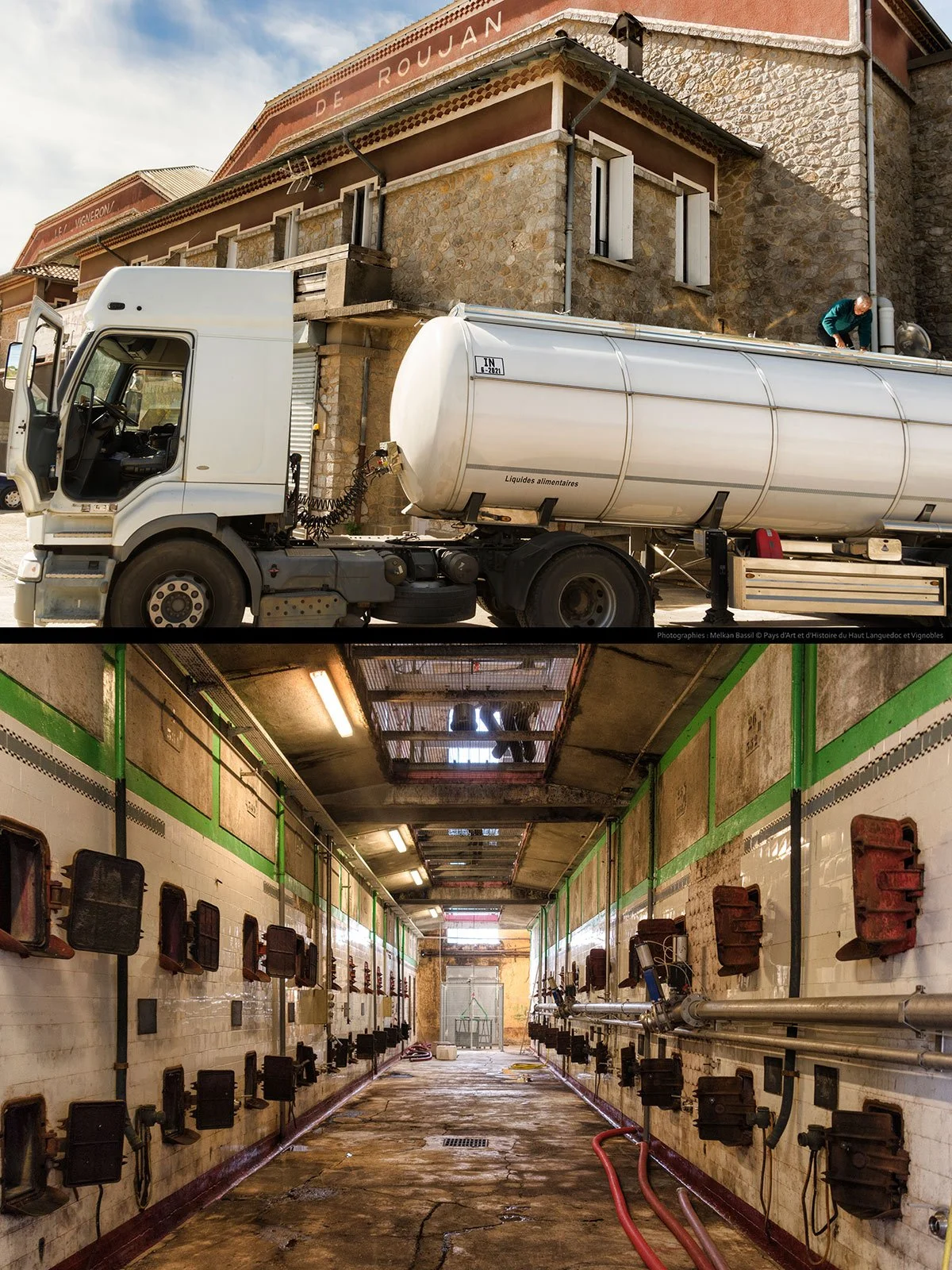 exposition-cave-cooperative-languedoc-roujan-occitanie.jpg
