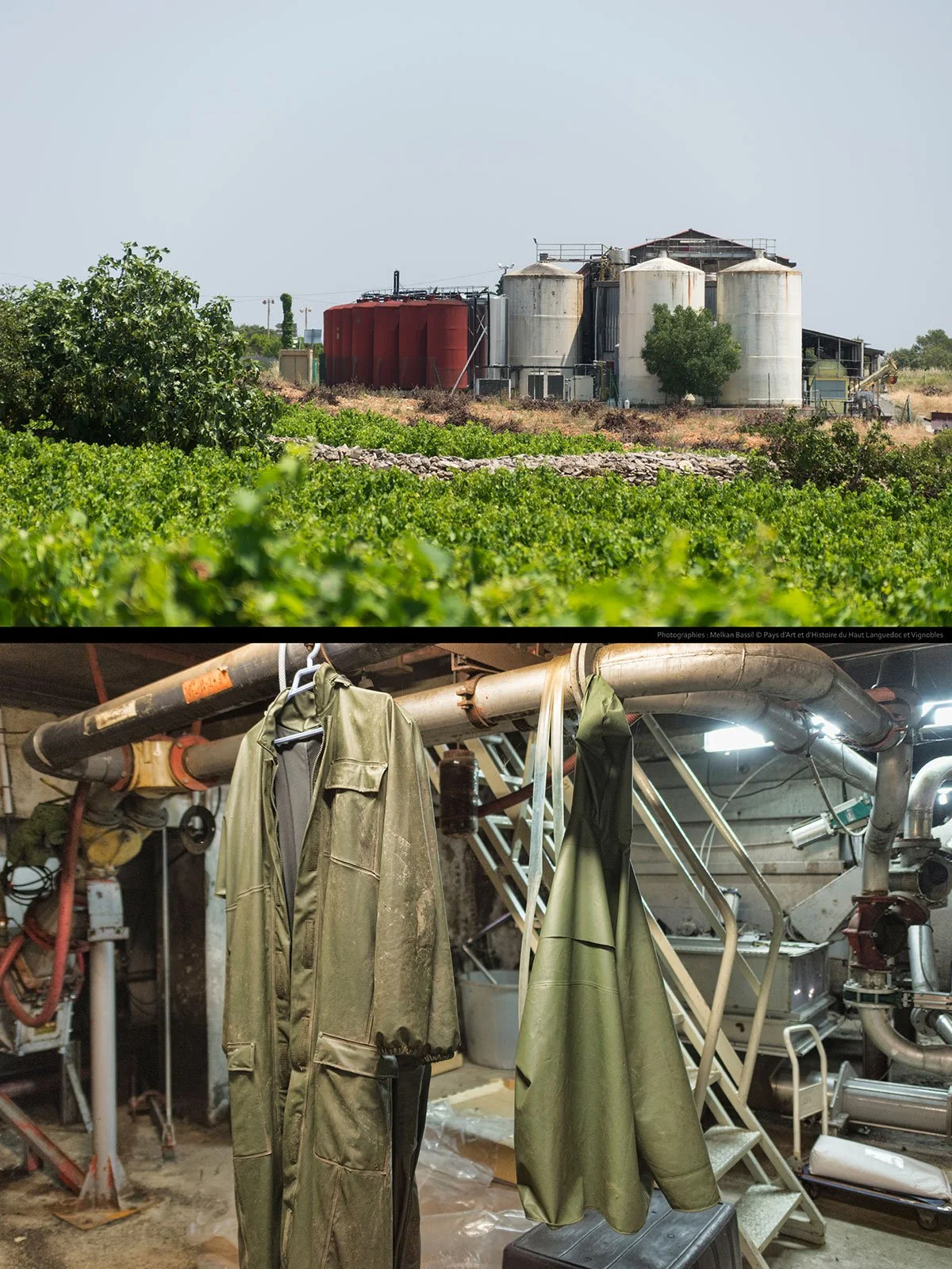exposition-cave-cooperative-languedoc-saint-jean-minervois.jpg