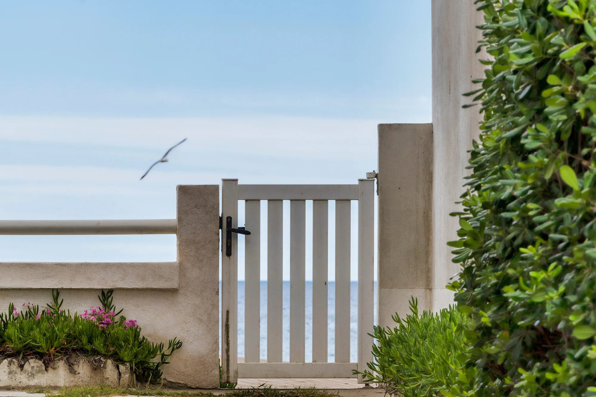 Vue vers la mer à Carnon réalisée pour la photothèque territoriale de Mauguio-Carnon