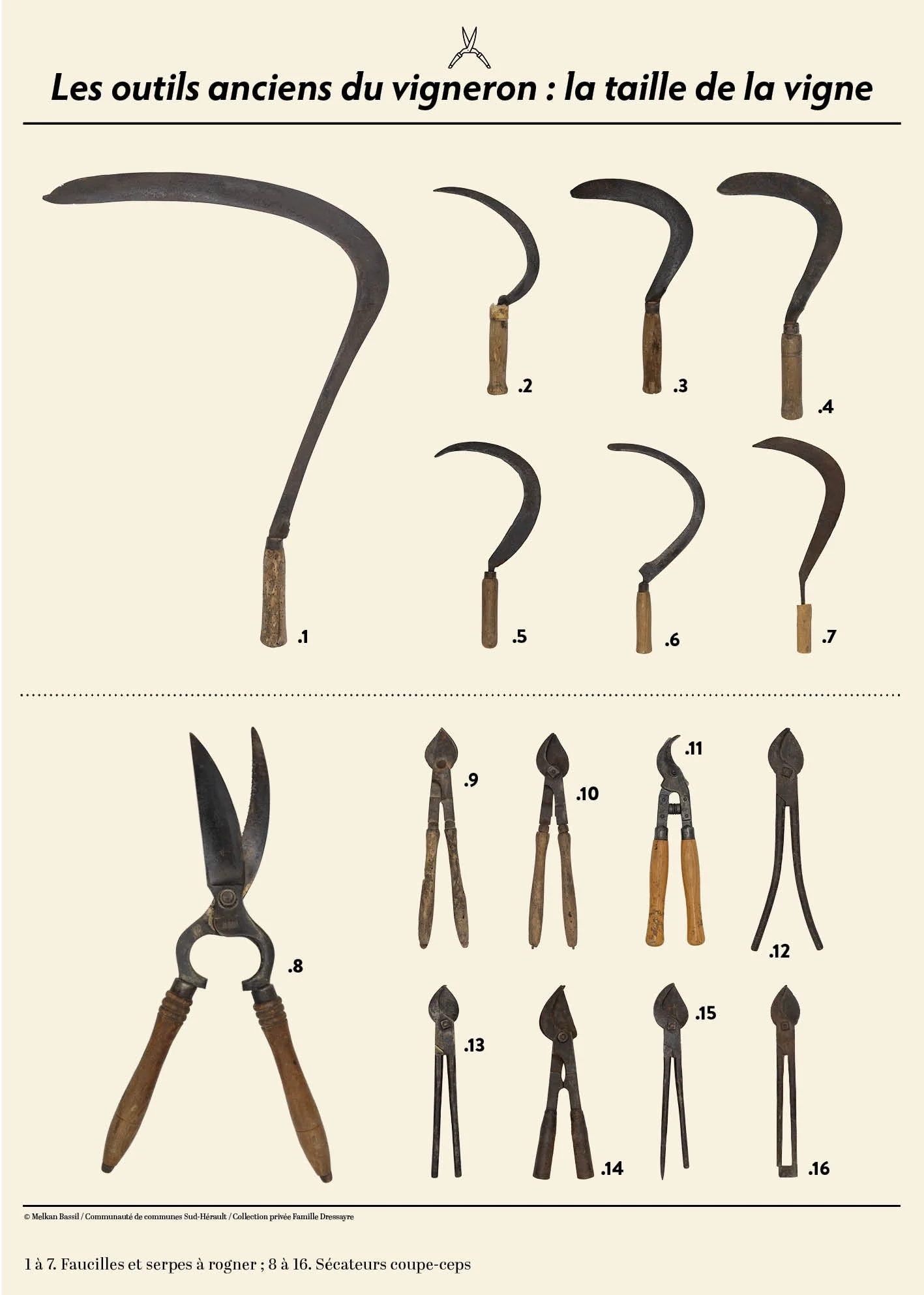 Collection de serpes et sécateurs anciens présentés en exposition patrimoniale