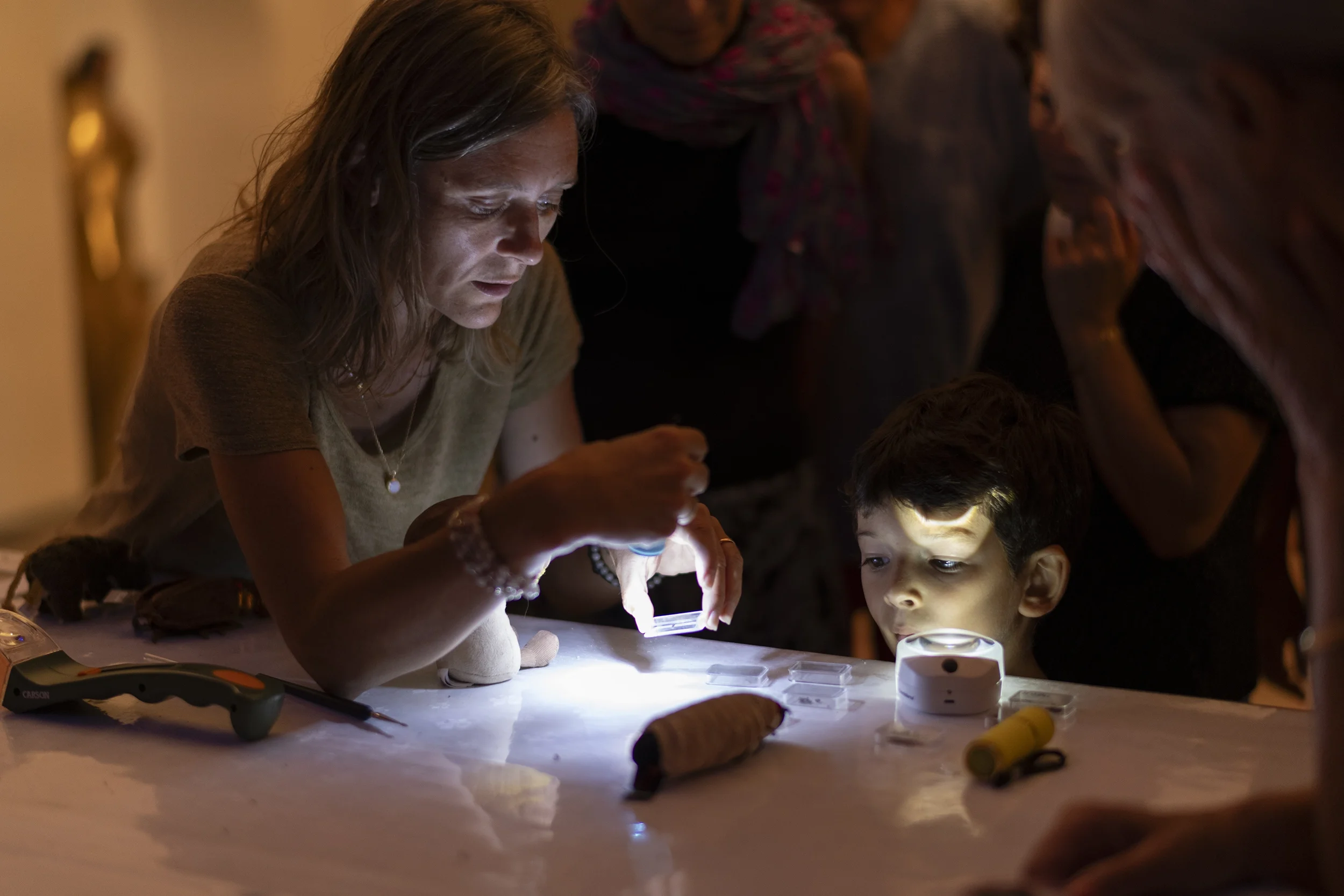 Reportage photo d'un atelier de sensibilisation à la préservation du patrimoine mobilier Occitanie