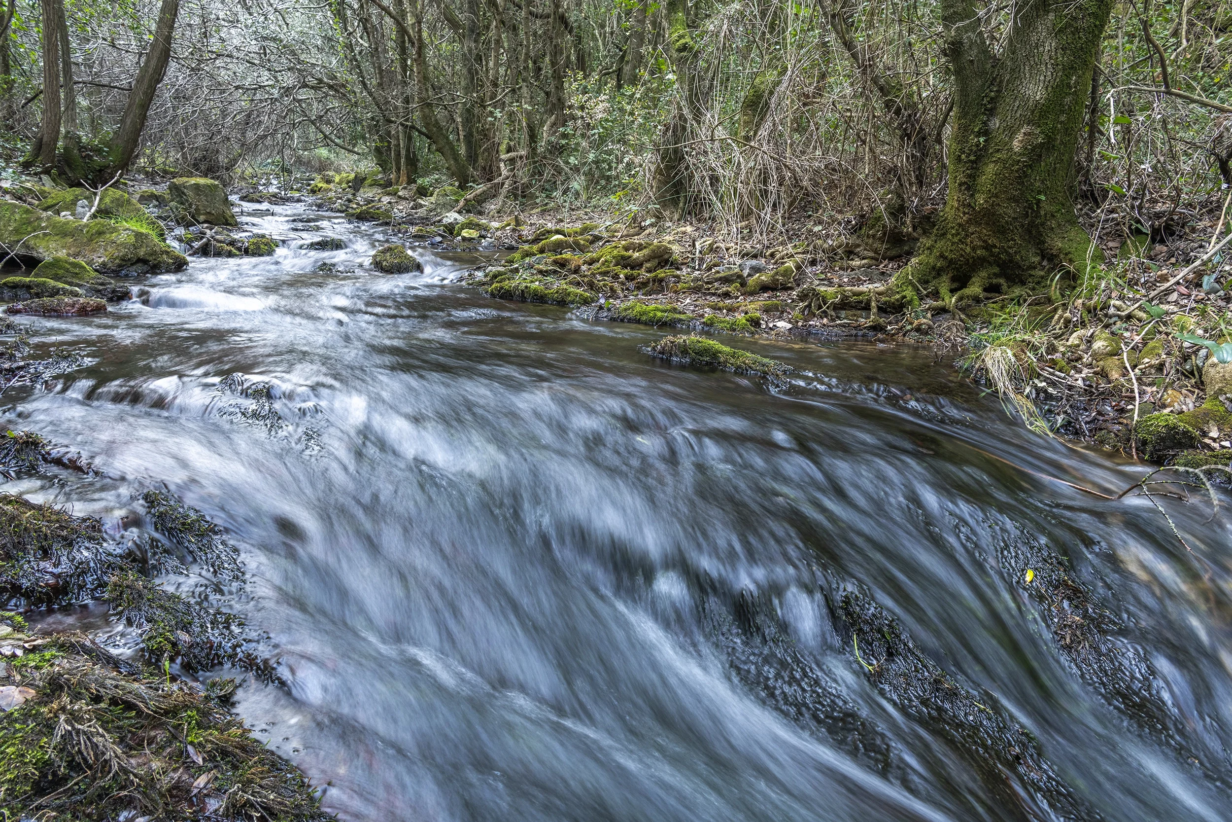 Reportage patrimoine rivieres et cours d'eau d'Occitanie