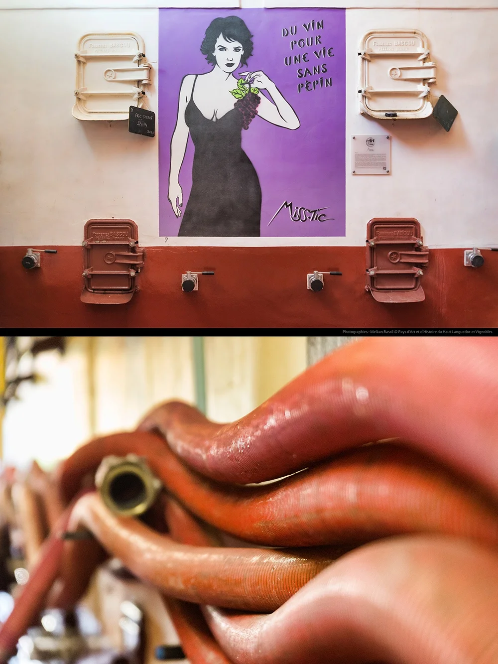 Détail architectural d’une cave coopérative en Occitanie