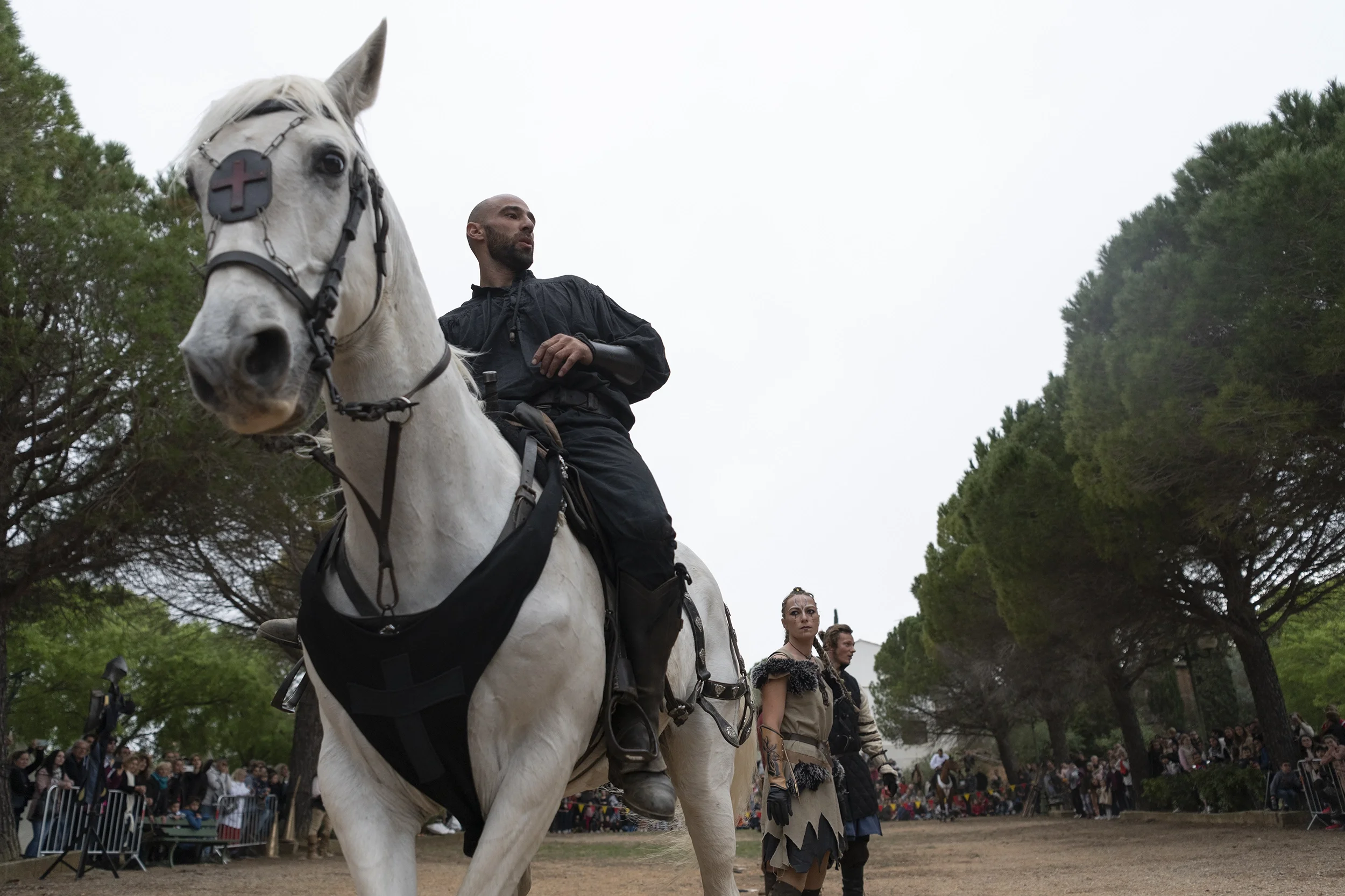 Reportage spectacle équestre médiéval, Hérault