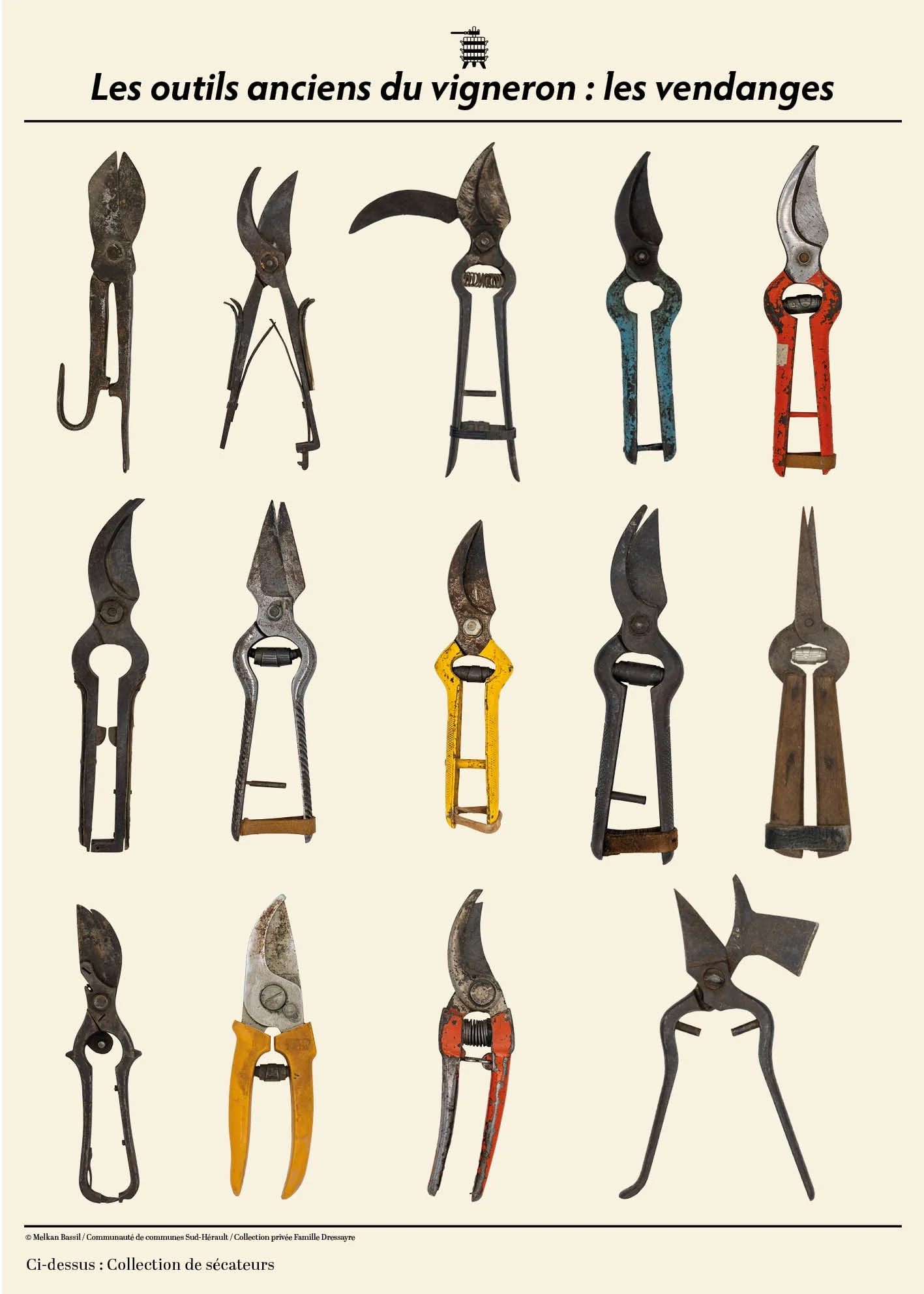 Collection de sécateurs et outils de vendange anciens exposés