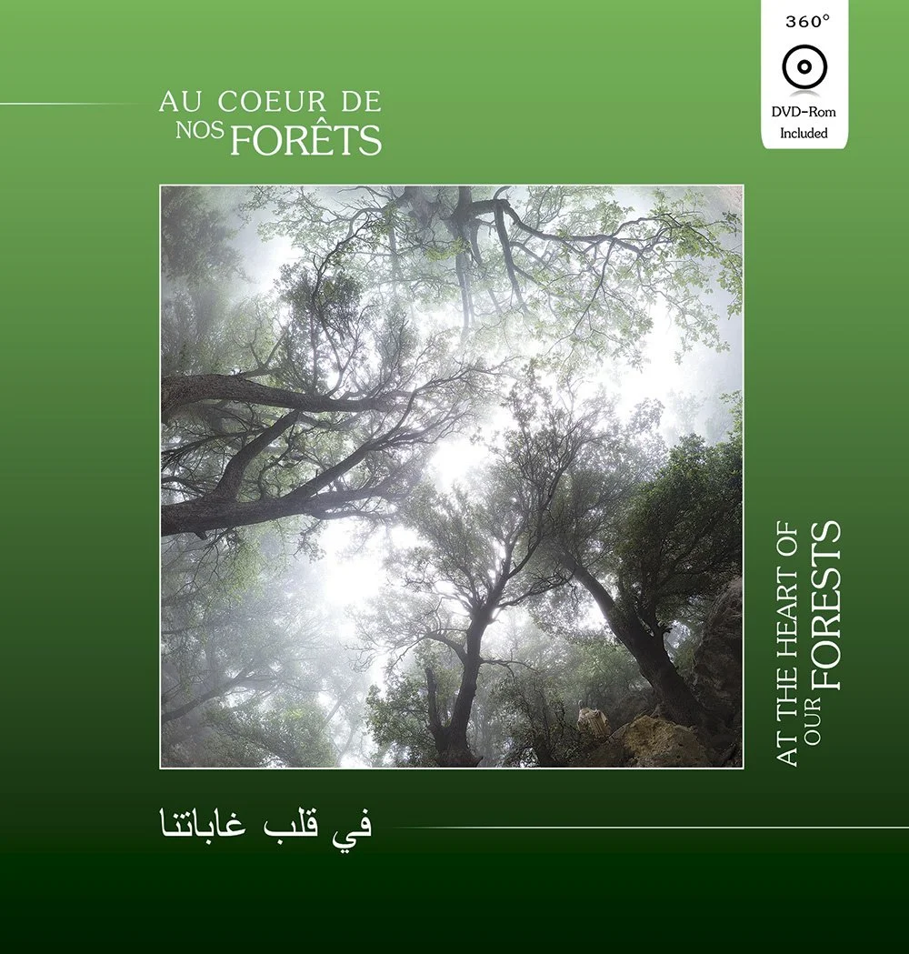 Couverture du livre Au cœur de nos forêts, ouvrage photographique consacré au patrimoine naturel forestier