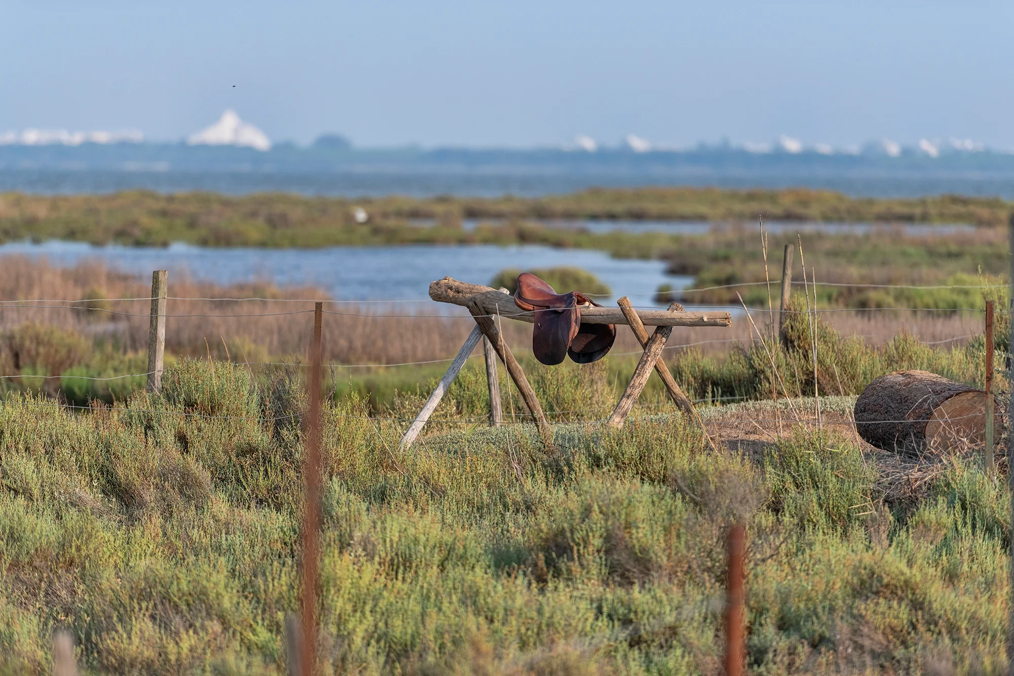 Photographe du patrimoine pour Office de Tourisme de Mauguio-Carnon, étang de l'Or et petite Camargue, Hérault, Occitanie