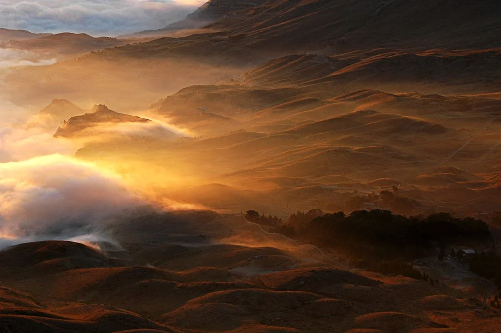 La forêt des cèdres du Liban, au couché de soleil