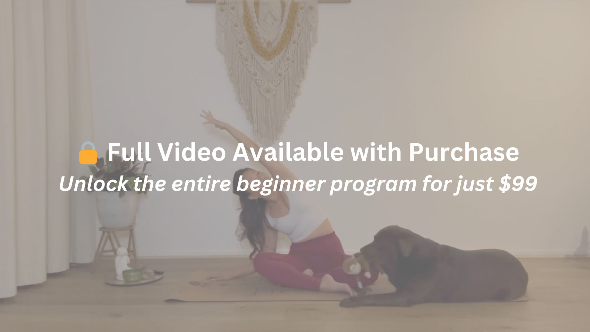 Brisbane Yoga Teacher Grace and her dog Millie stretching together