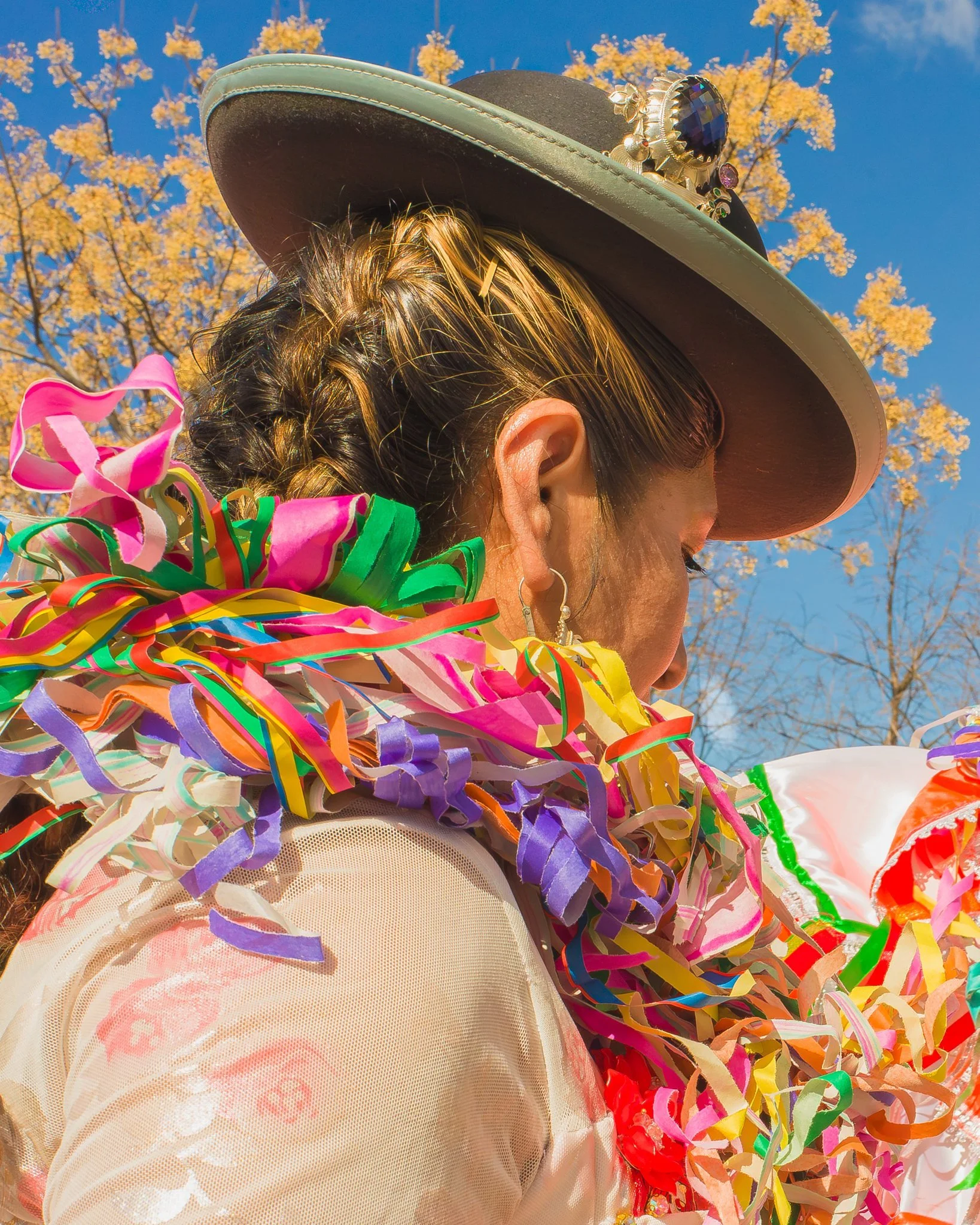 014-carnaval49.jpg