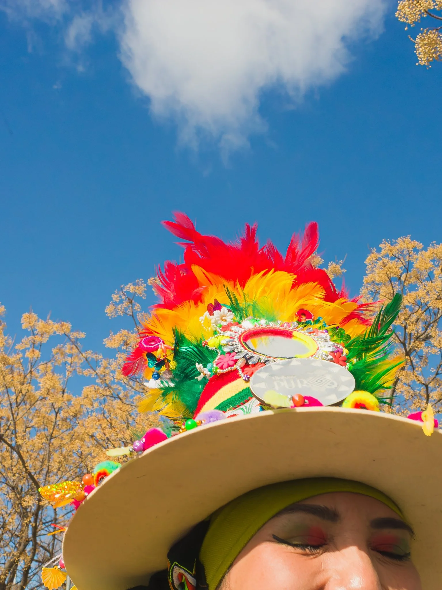 020-carnaval54.jpg