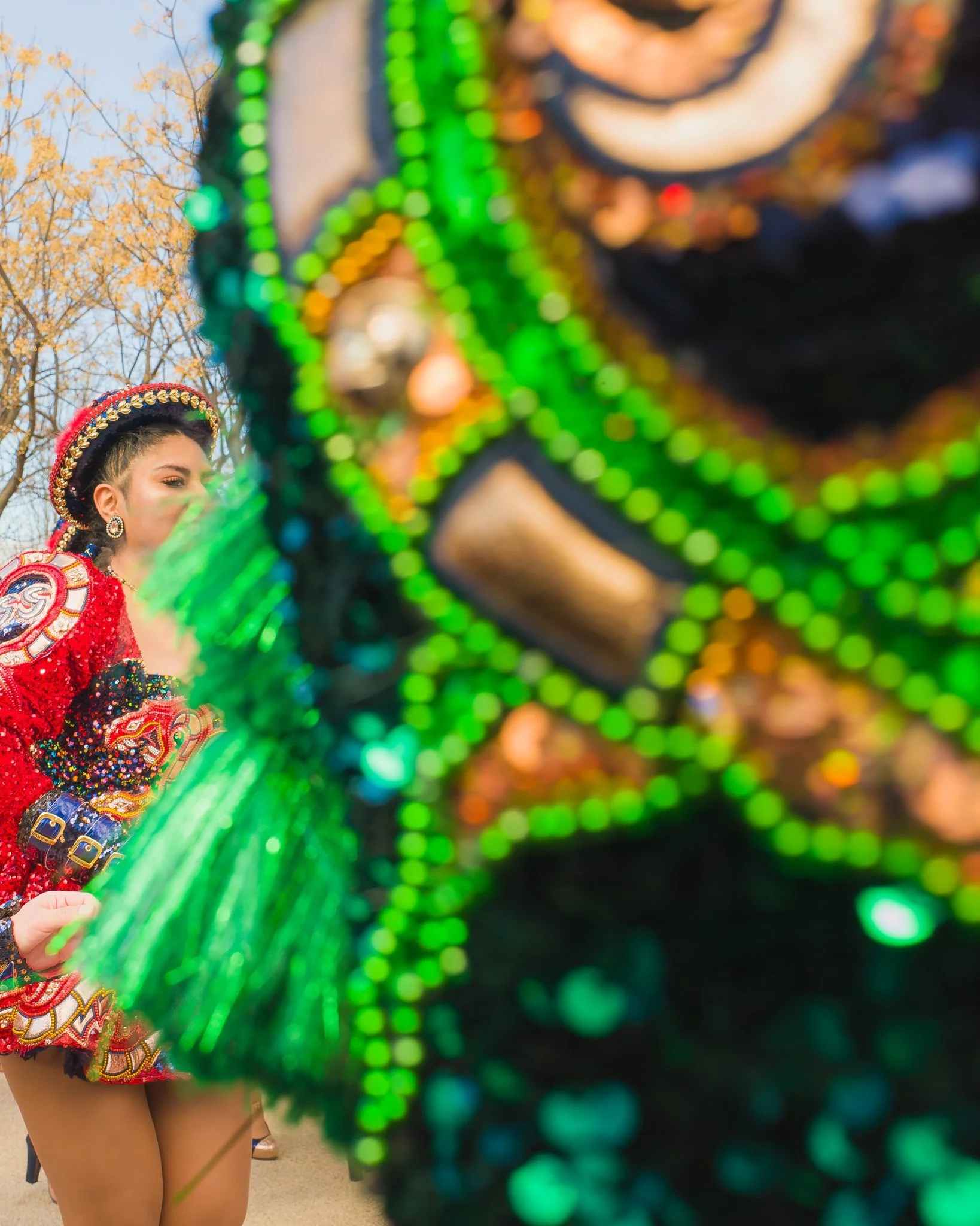 009-carnaval44.jpg