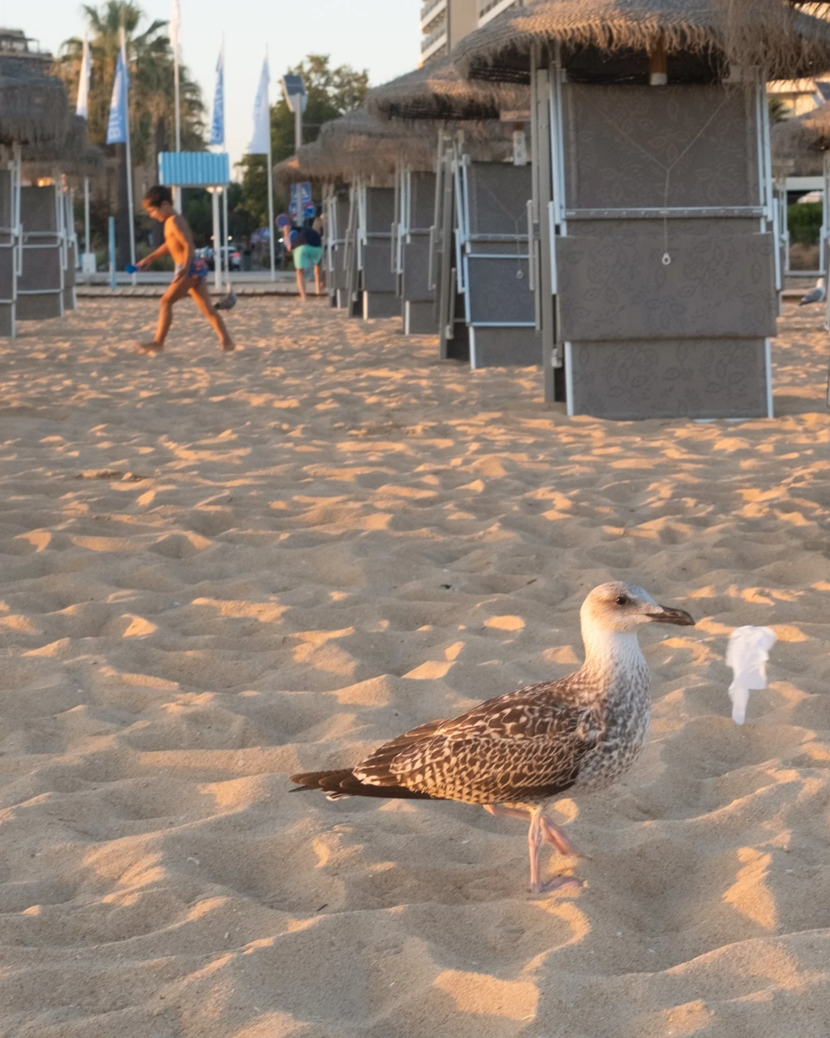 shore021012.jpg