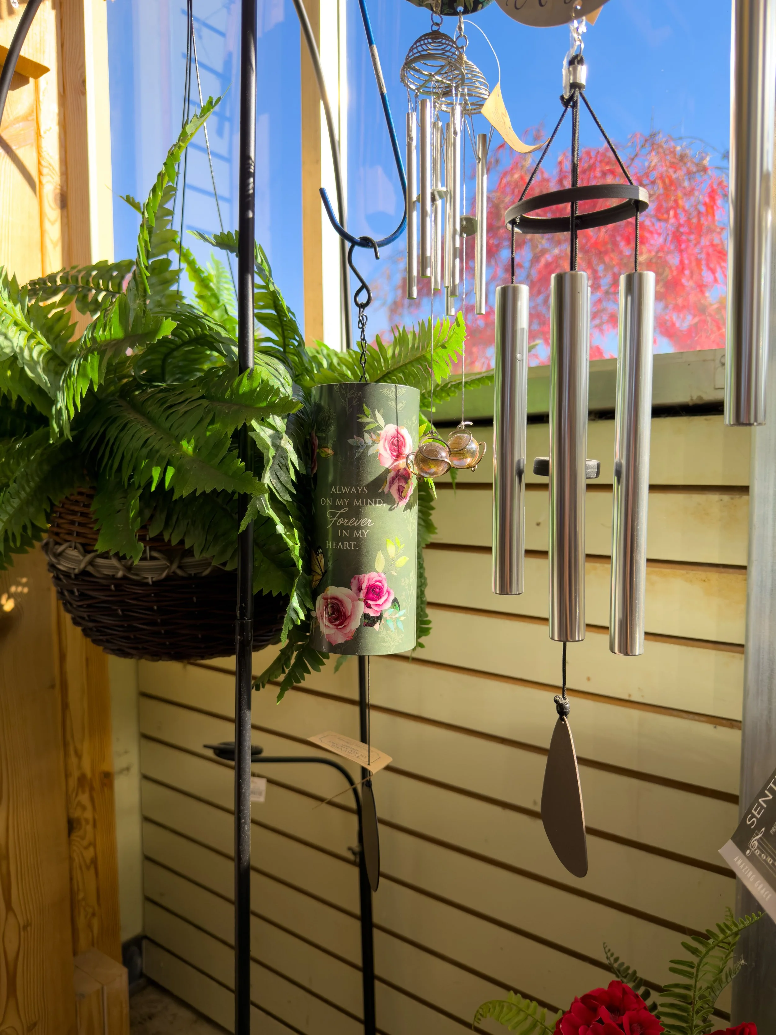 A collection of wind chimes hanging inside a wooden and glass structure next to a potted fern plant and a decorative cylindrical container with roses and a romantic quote, with a red tree and blue sky visible through the window.