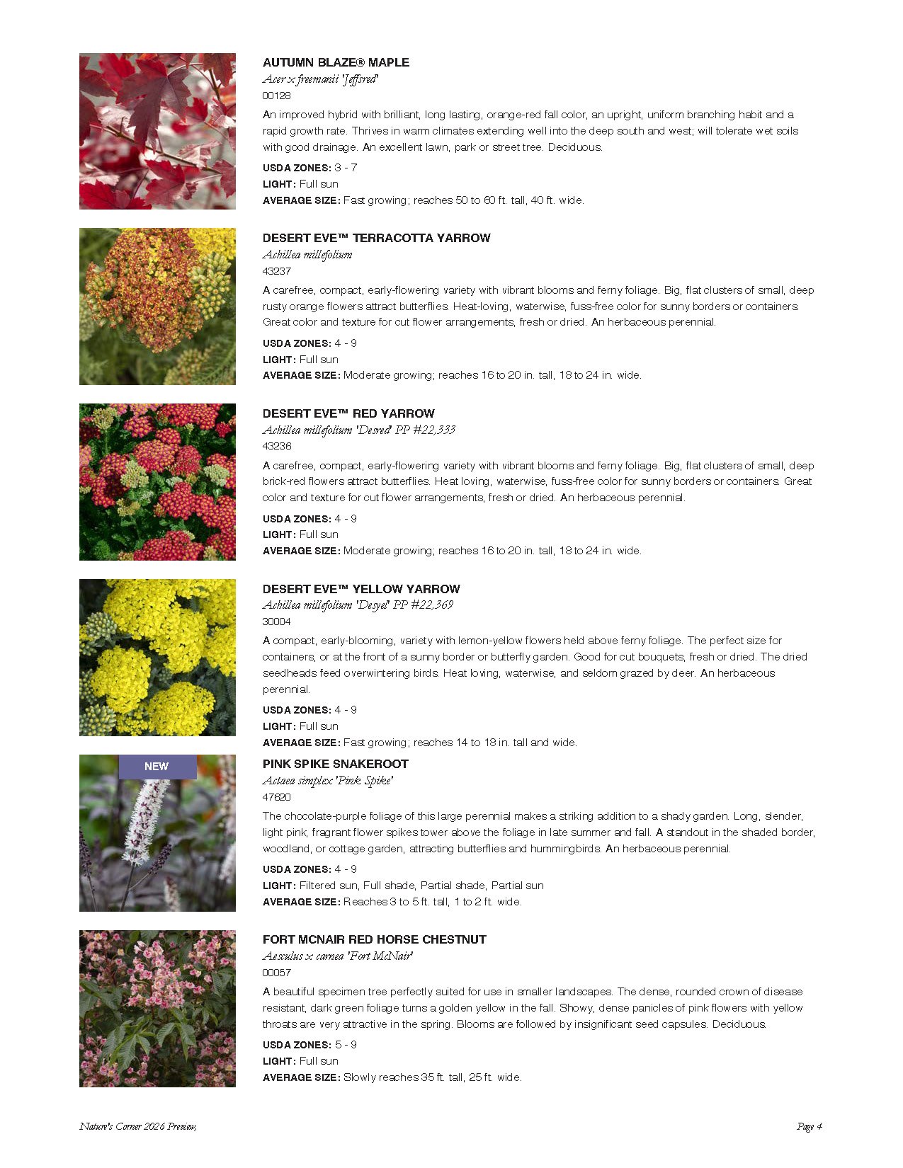 Catalog page displaying various plants and flowers with descriptions and images, including autumn blaze maple, desert eve terracotta yarrow, desert eve red yarrow, desert eve yellow yarrow, pink spike snakeroot, and fort mcnair red horse chestnut.