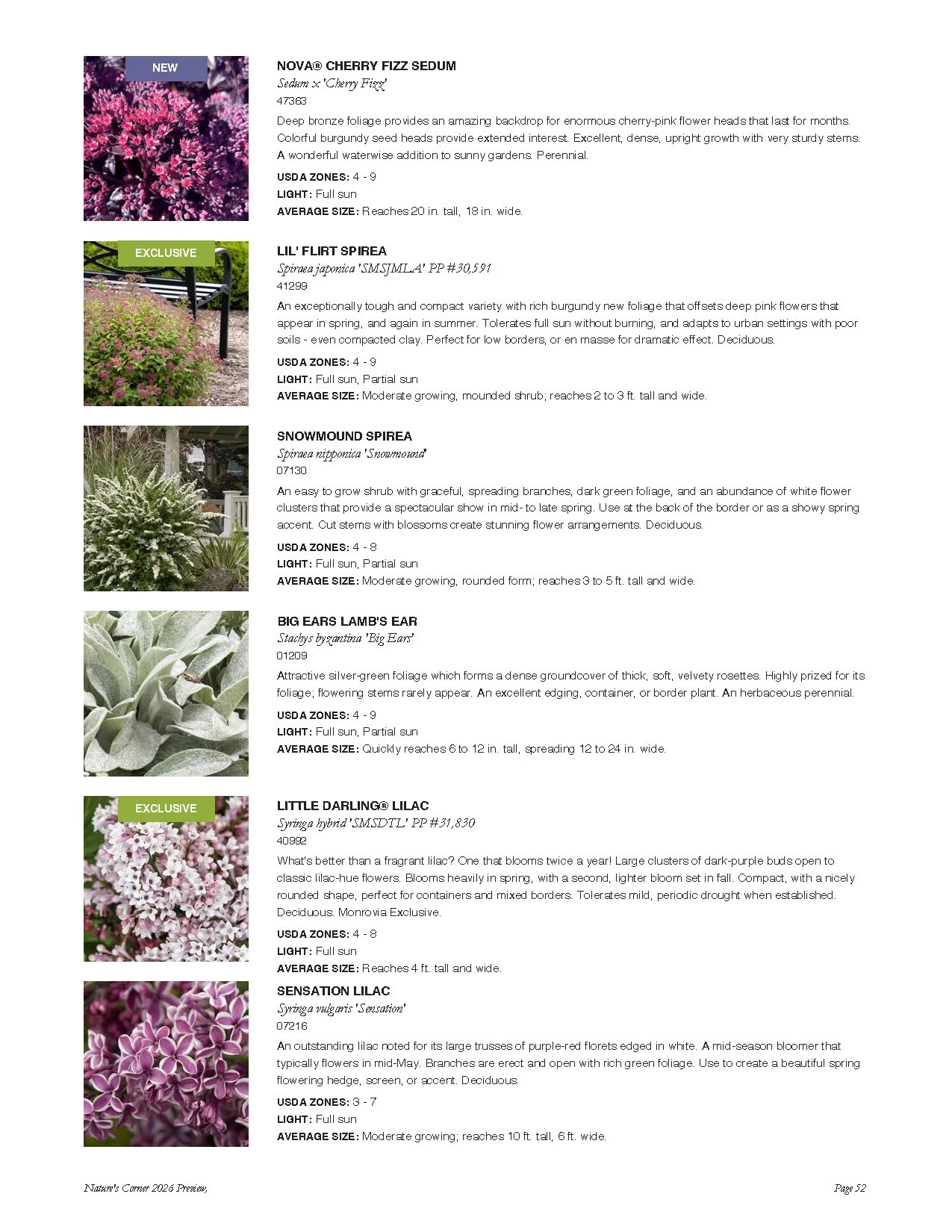 A catalog page showcasing five types of flowering plants with descriptions and images: Nova Cherry Fizz Sedum, Lil' Flirt Spirea, Snowmound Spirea, Big Ears Lamb's Ear, Little Darling Lilac, and Sensation Lilac.
