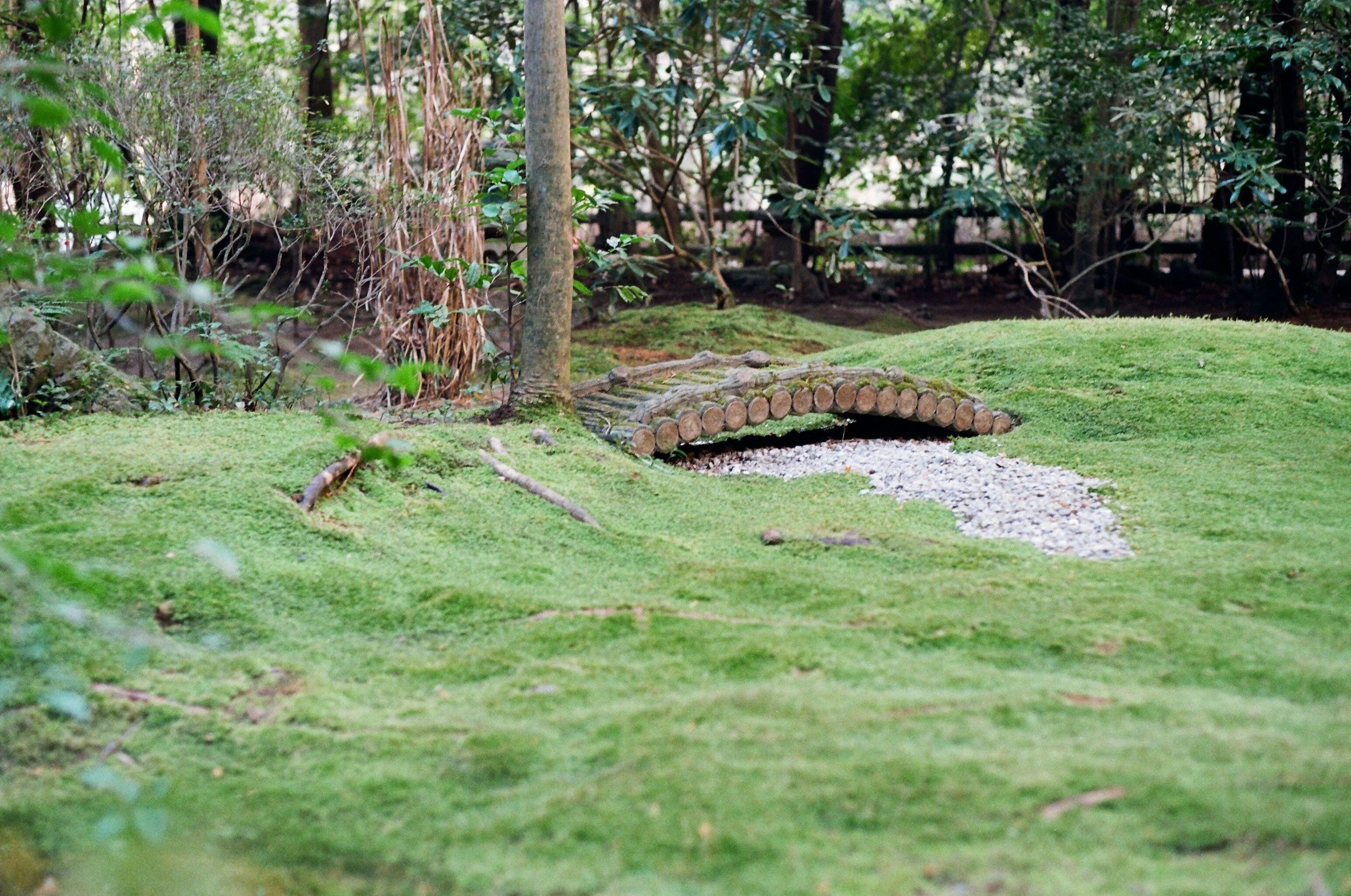A miniature wooden bridge over a gravel path in a lush, green garden with trees and bushes in the background.