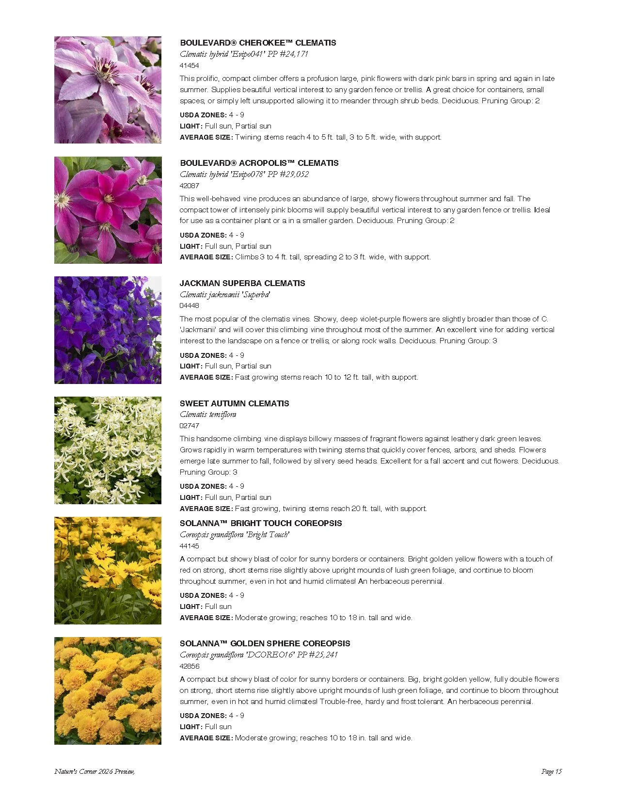 Page with descriptions of various clematis plants, including Boulevard Cherokee, Boulevard Acropolis, Jackman Superba, Sweet Autumn, Solanna Bright Touch, and Solanna Golden Sphere, with images of each flower.