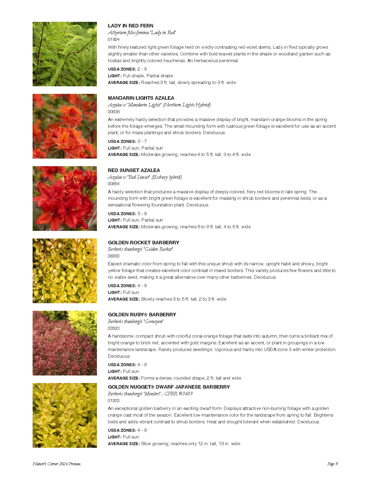 Page from a plant catalog with six different types of flowering shrubs and ferns, each with a photo and description including size, color, and growing conditions.