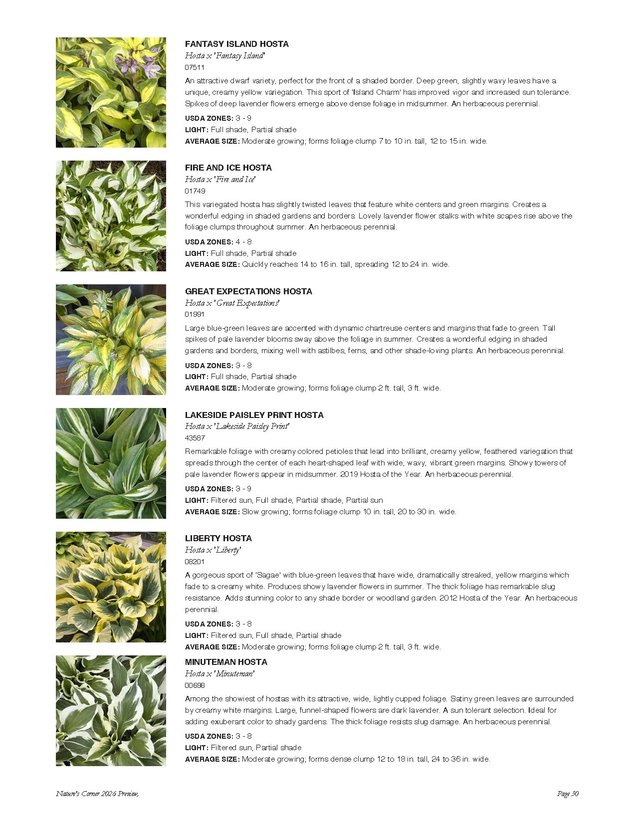 A catalog page showcasing various Hostas, including 'Fantasy Island Hosta', 'Fire and Ice Hosta', 'Great Expectations Hosta', 'Lakeside Paisley Print Hosta', 'Liberty Hosta', and 'Minuteman Hosta' with images and descriptions.