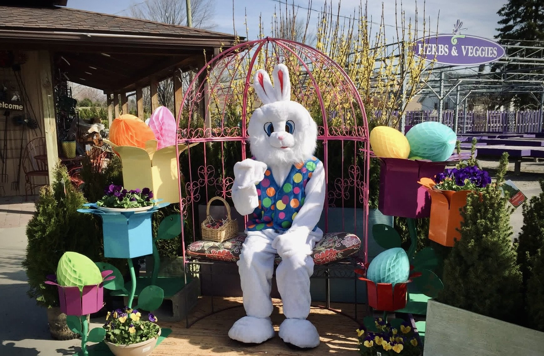 Easter Bunny mascot sitting on a decorated bench inside a pink wire egg-shaped frame, surrounded by colorful paper flower and egg decorations, with a small basket on its lap, in front of a sign that says "Herbs & Veggies" in an outdoor setting.